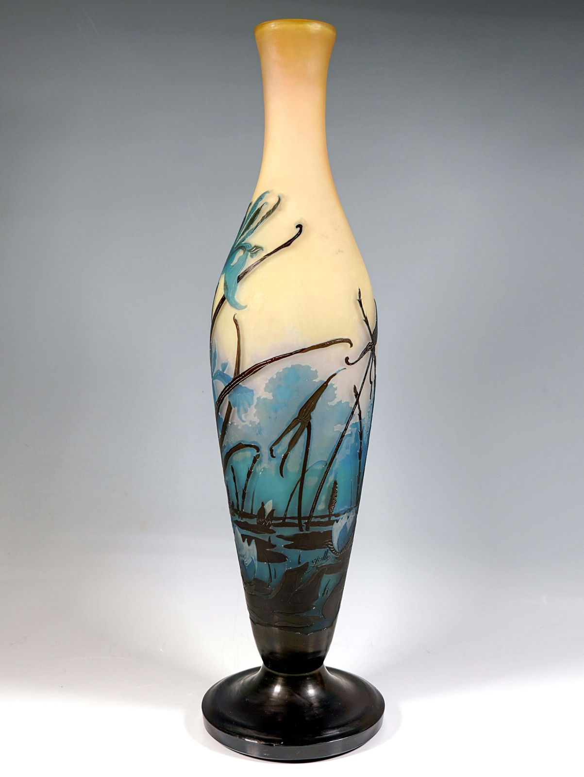 Large émile Gallé Art Nouveau Cameo Vase, Iris And Lily Pond, France, Ca. 1906 photo Home Decor