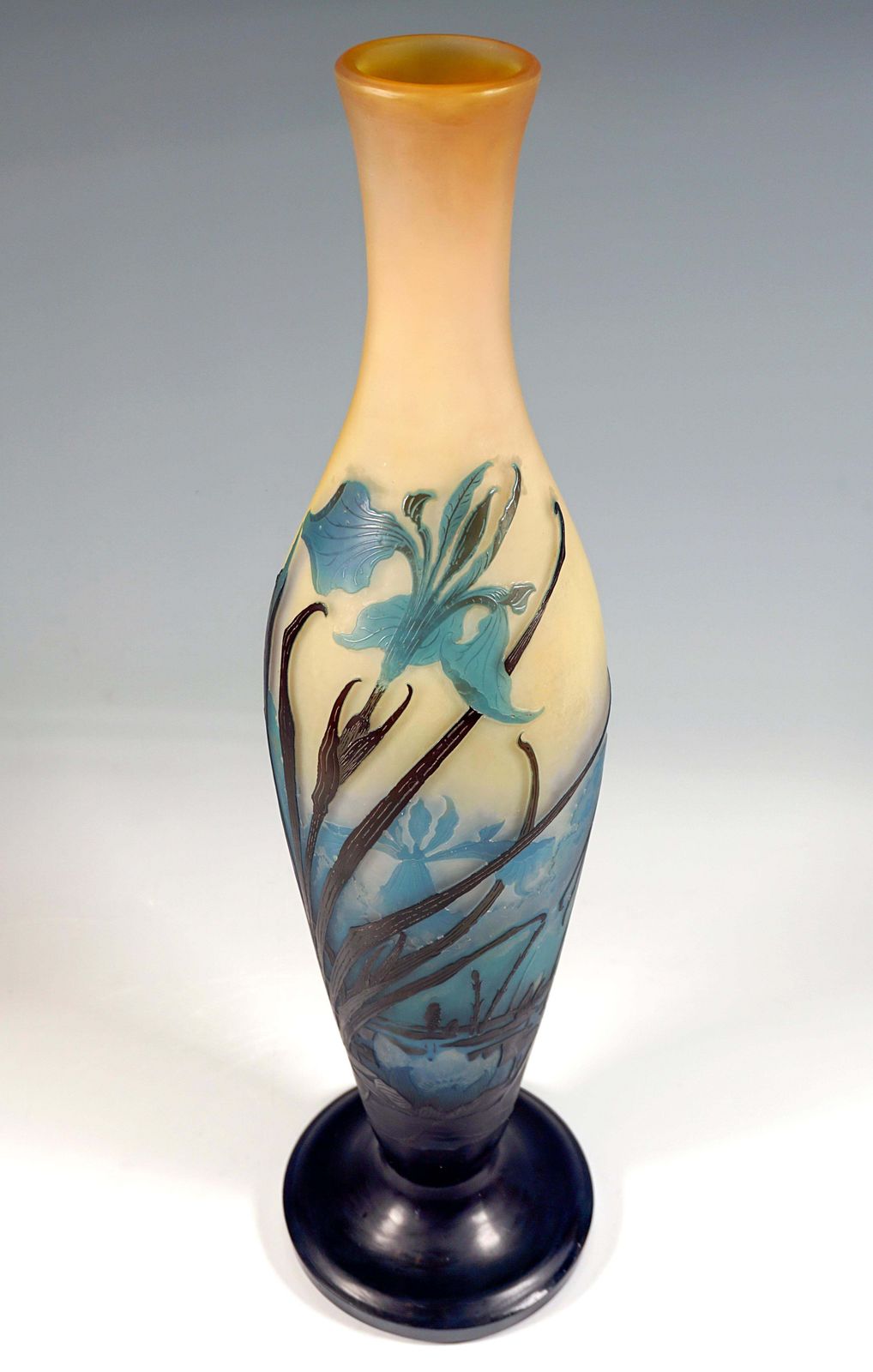 Large émile Gallé Art Nouveau Cameo Vase, Iris And Lily Pond, France, Ca. 1906 photo 6909.0