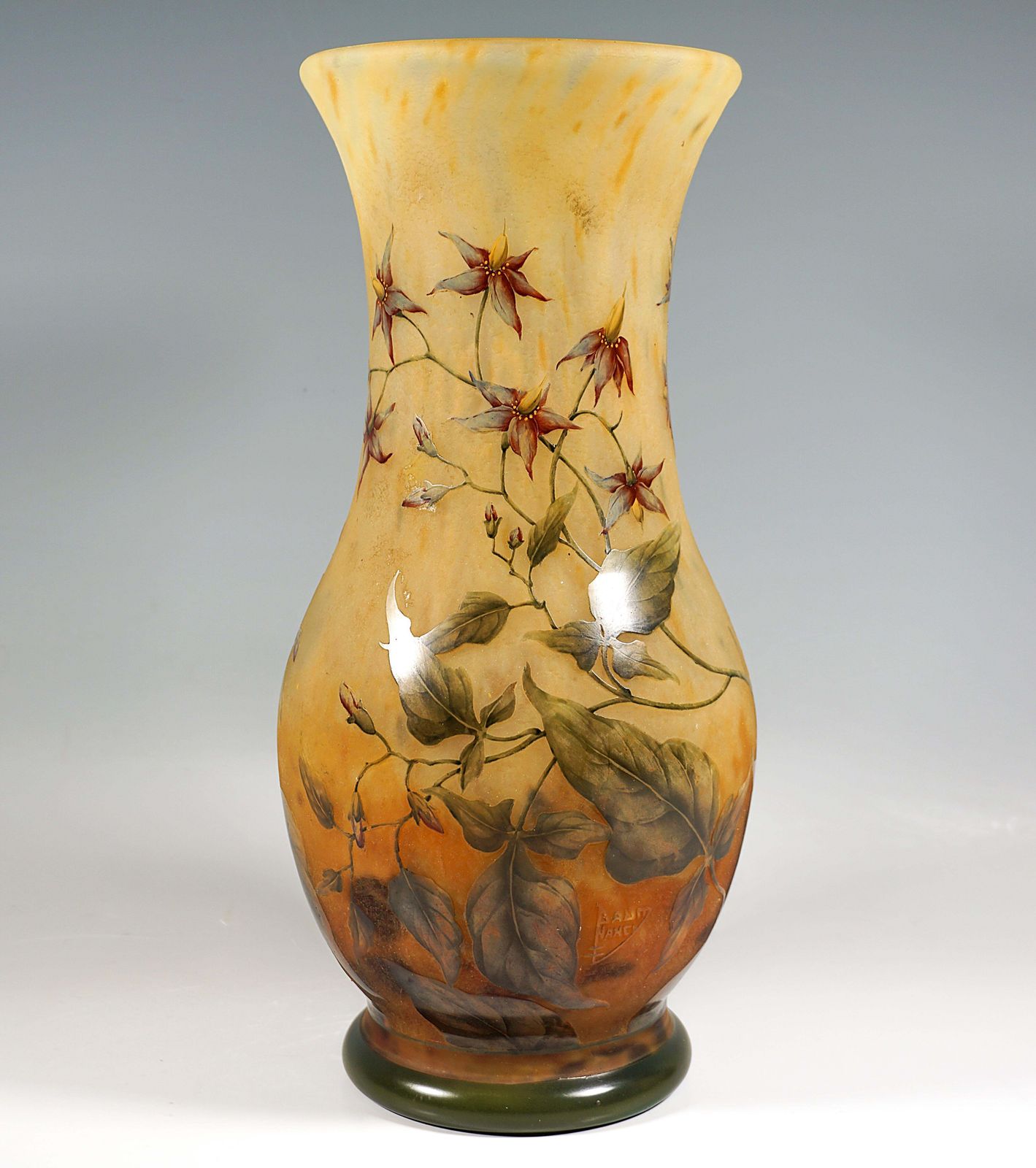 Large Art Nouveau Cameo Vase, Solanum Dulcamara Decor, Daum Nancy, France, 1910 photo for sale
