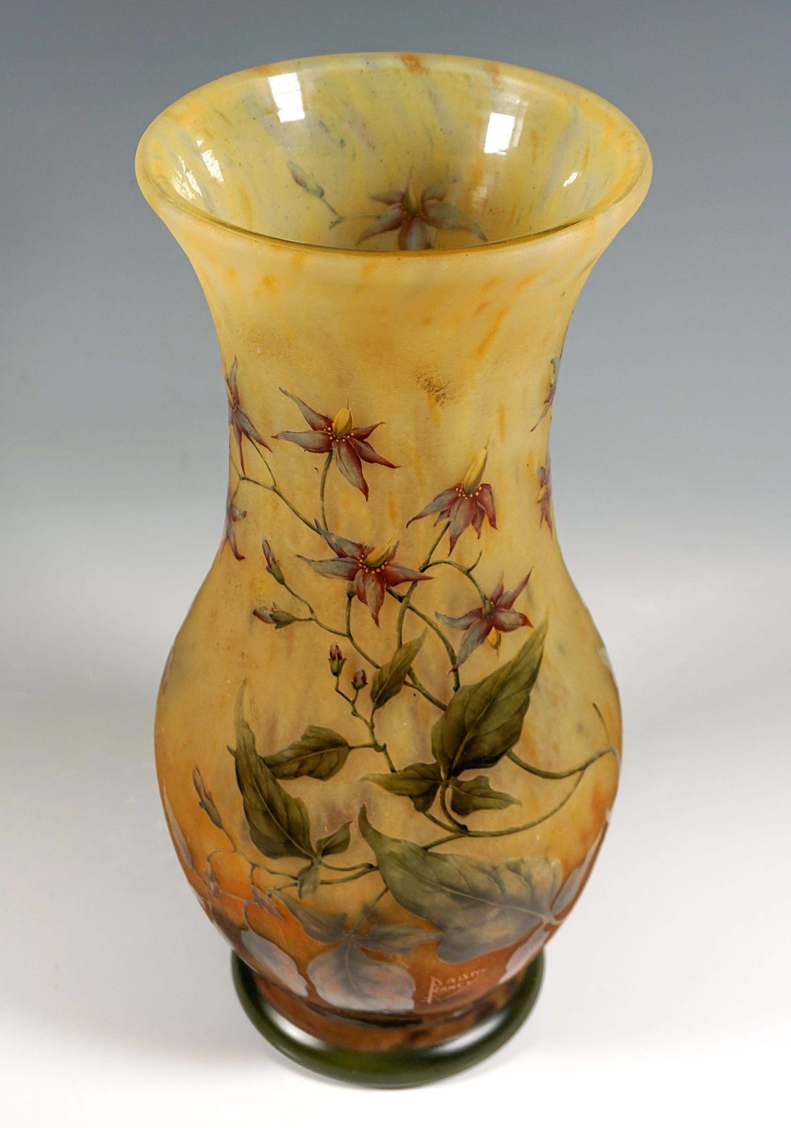 Large Art Nouveau Cameo Vase, Solanum Dulcamara Decor, Daum Nancy, France, 1910 photo buy