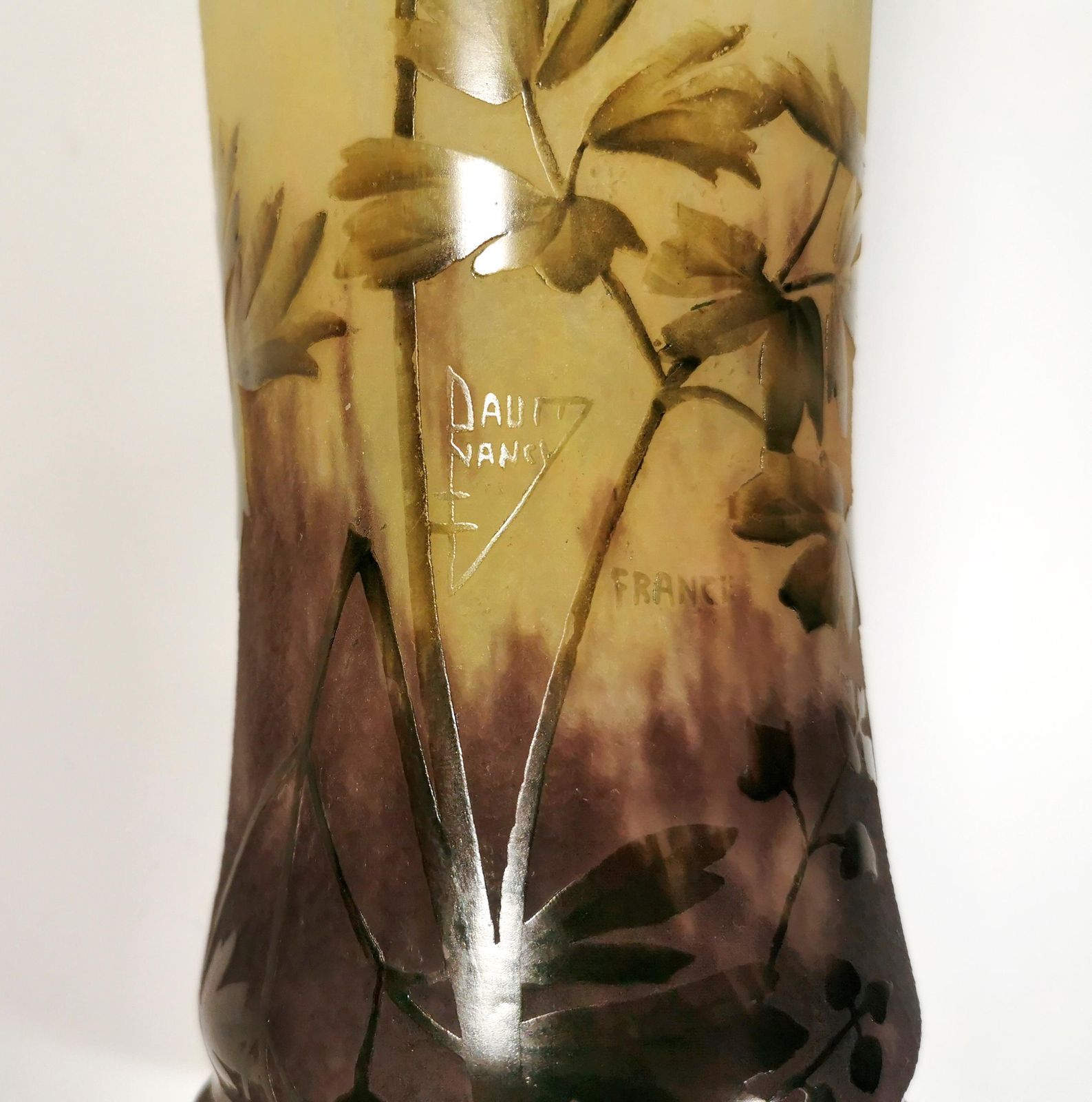 Large Art Nouveau Cameo Vase With Columbine Decor, Daum Nancy, France, Ca 1910 photo vintage