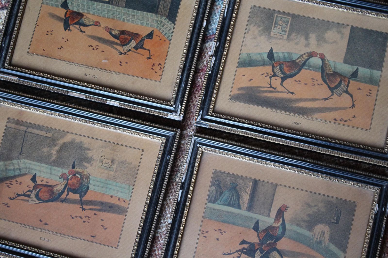 Early 19th Century Hand Coloured Cockfighting Scenes Sporting Taxidermy Hunting photo Home Decor