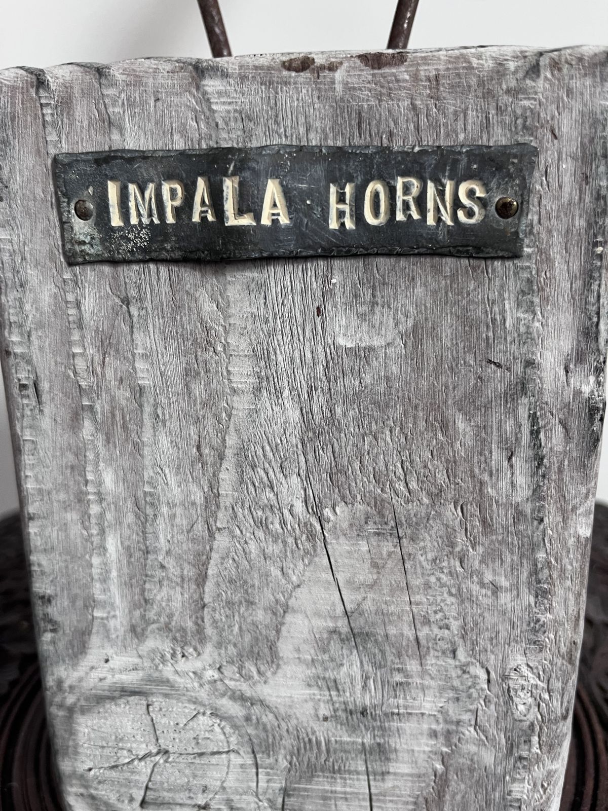 Antique Antelope Impala Horns On Wooden Plinth photo vinterior