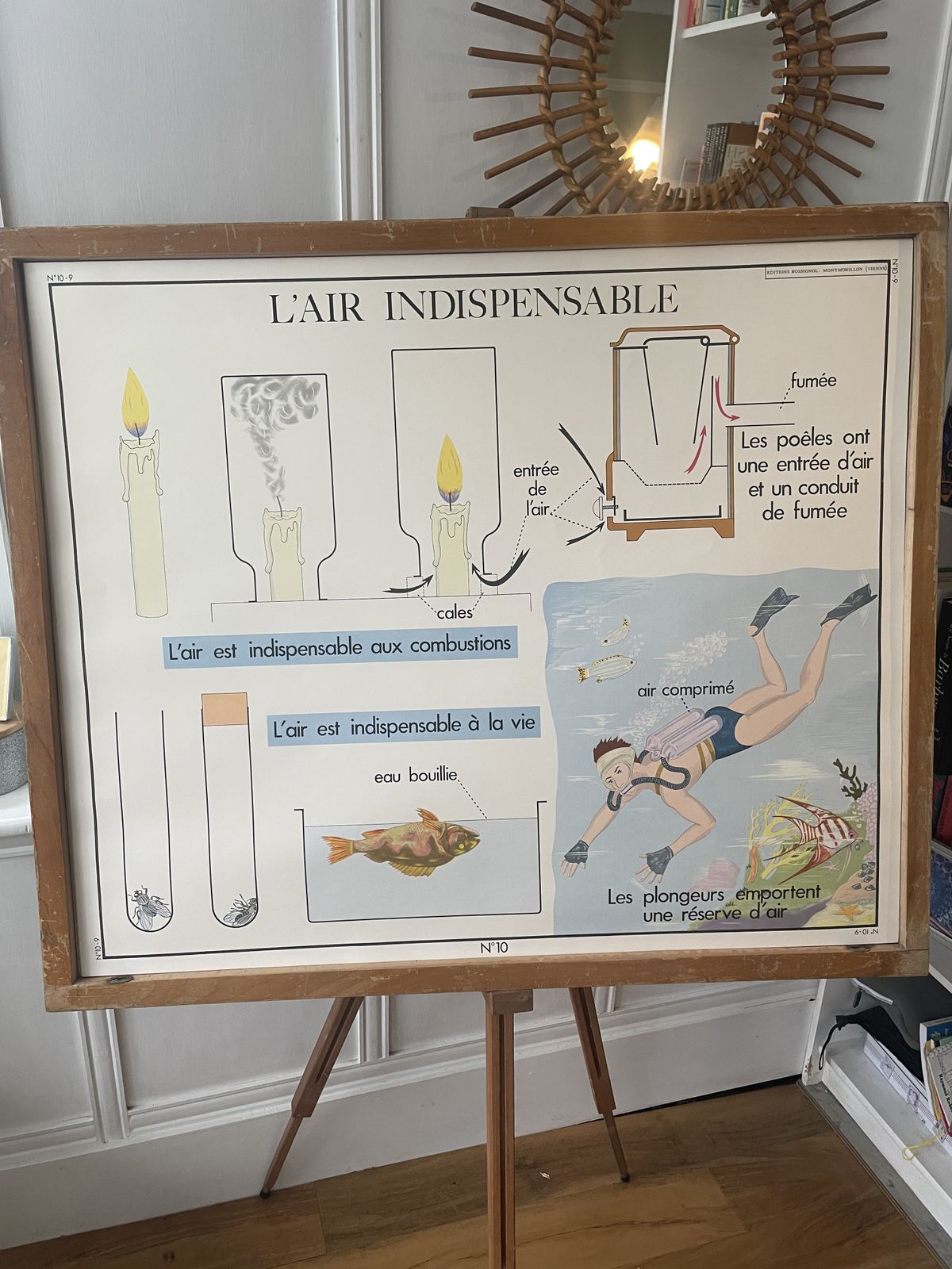 photo vinterior Vintage French 11  Educational Science Posters With 1 Frame By Rossignol Of Montmorillon Vienne