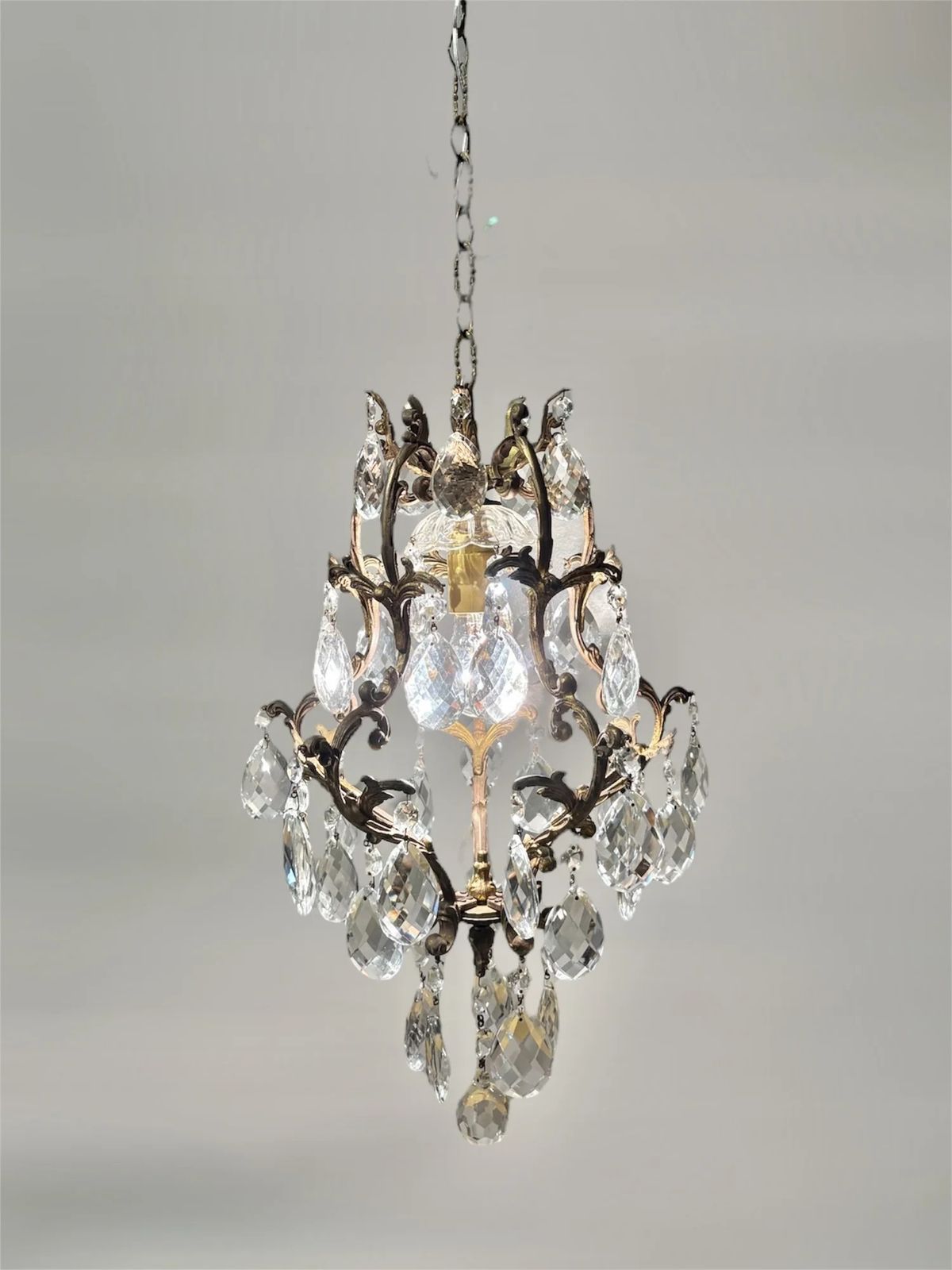 1301.0 Italian Brass Cage Chandelier With Bohemian Crystals photo