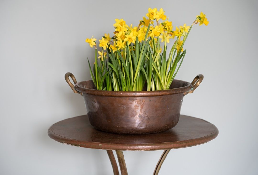 Antique Copper Pot Planter photo vinterior