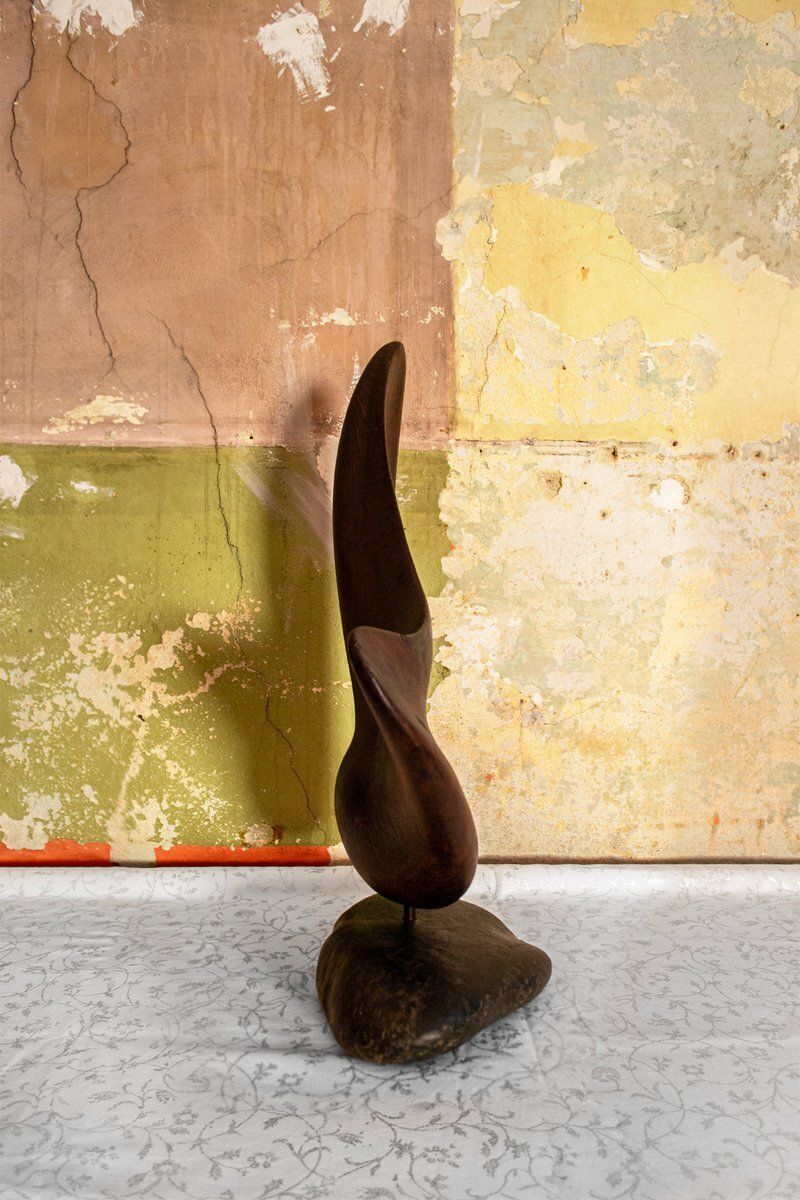 Cristiano Nicoletta, Abstract Sculptuur, Jaren 1960, Hout photo for sale