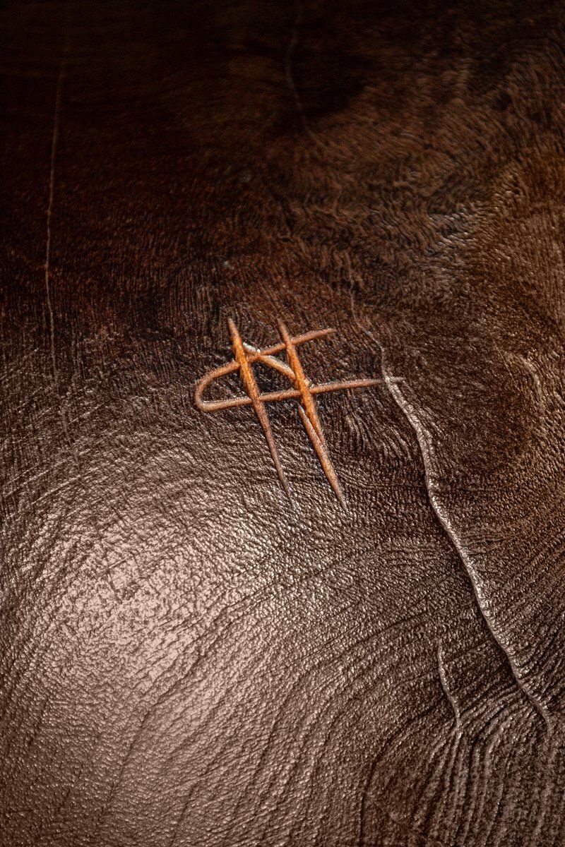 Cristiano Nicoletta, Abstract Sculptuur, Jaren 1960, Hout photo 1614.0