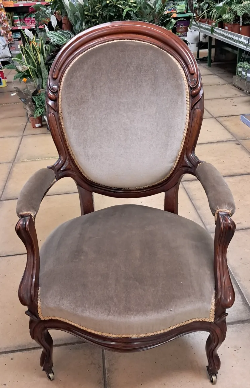 Victorian Mahogany Parlour Armchair Upholstered In Grey Velvet With Castors