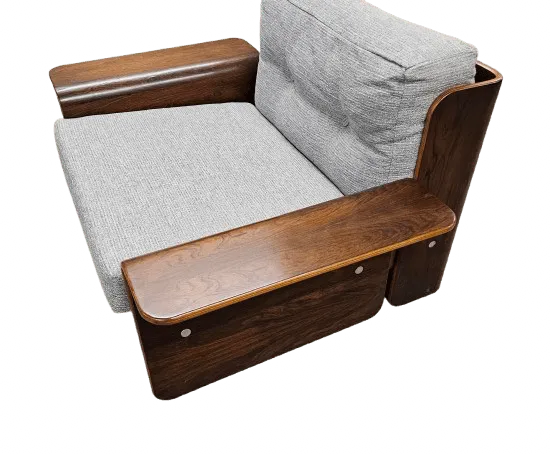 Vintage Rosewood Bentwood Lounge Chair photo 1850.0