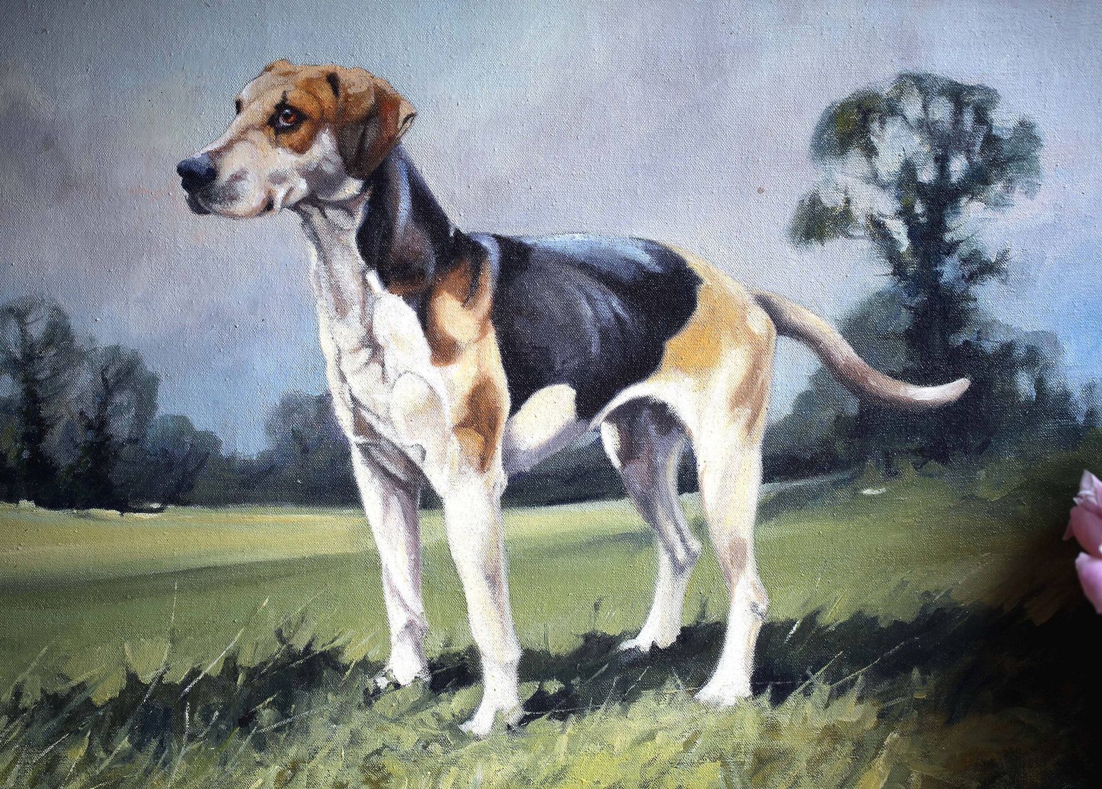 Original Andrew Haslen Oil Painting Beagle Framed Dog Wall Art photo vintage