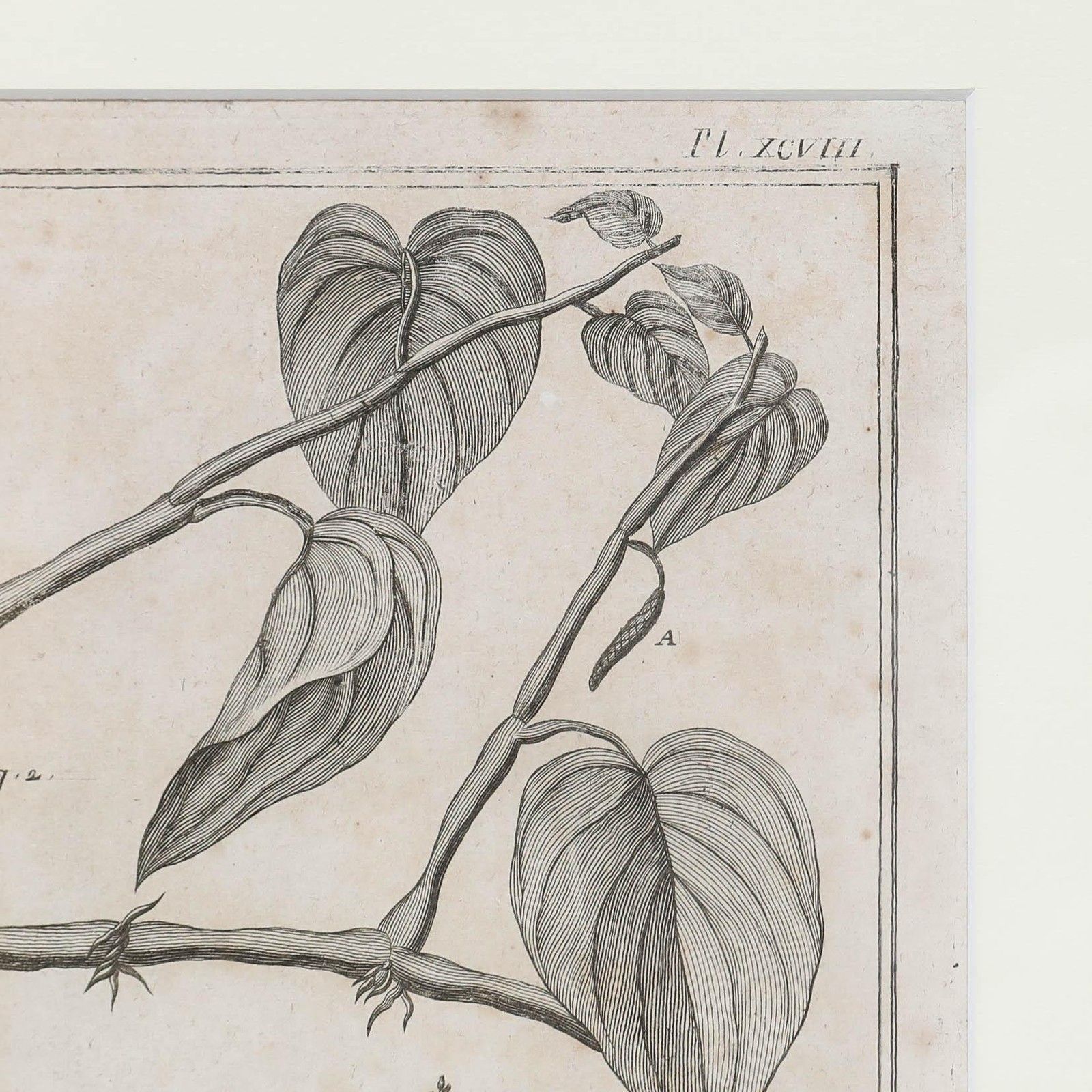 Robert Béenard (1734 1794) 18th Century Engraving, Le Pivre & Le Betel photo buy