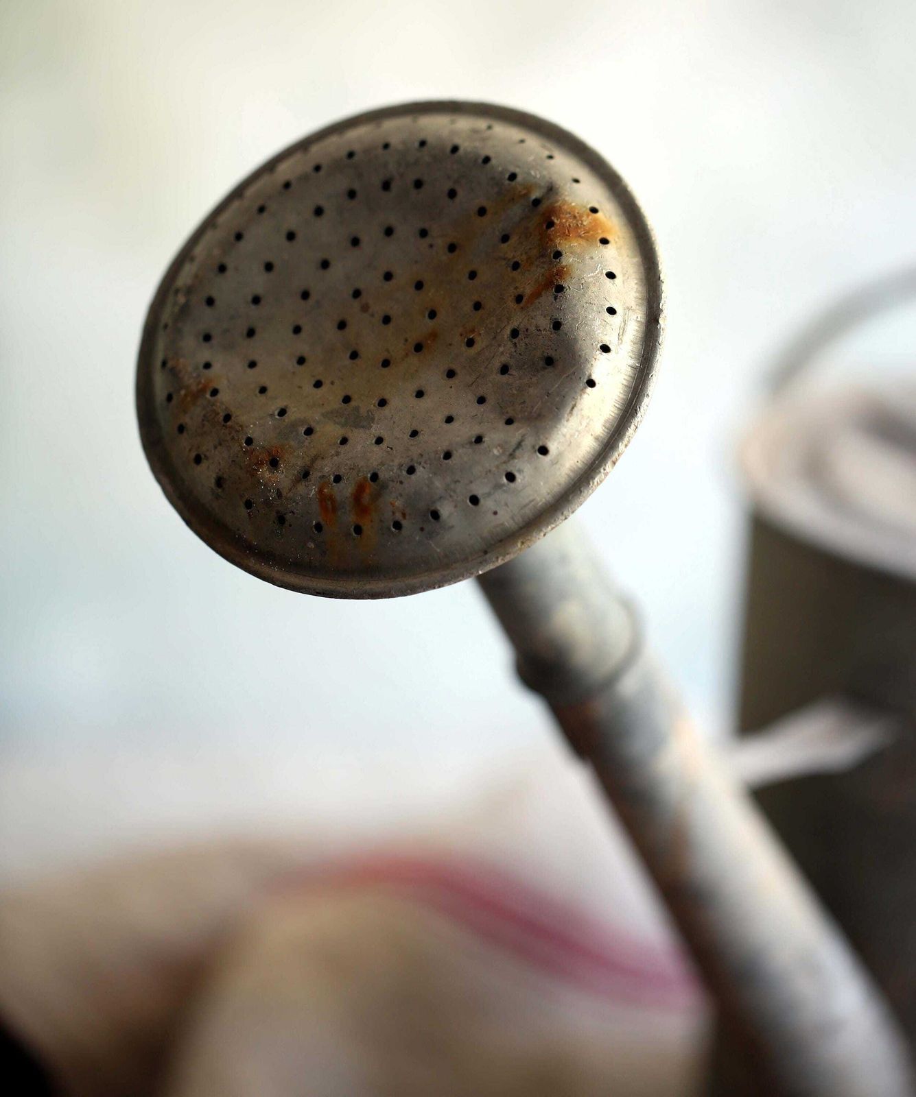 Antique French Zinc Watering Can photo for sale