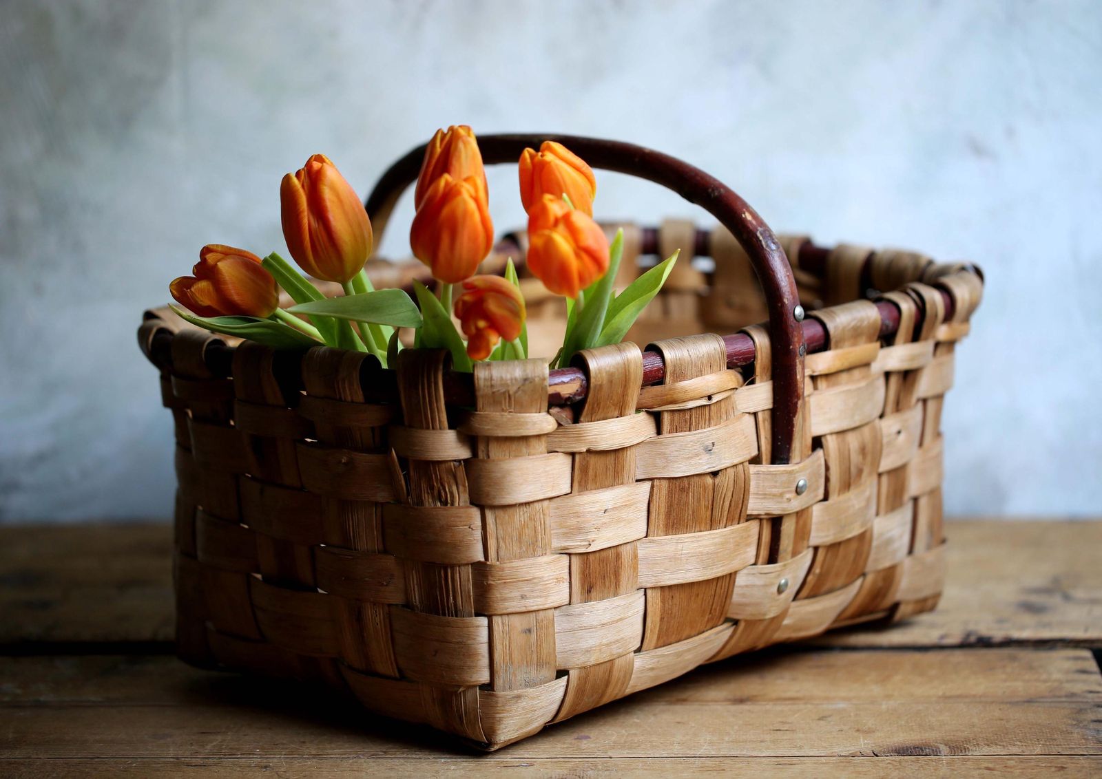 Antique Bentwood Mushroom Basket French Rustic Wooven Wood Garden Trug Bentwood Handle photo furniture