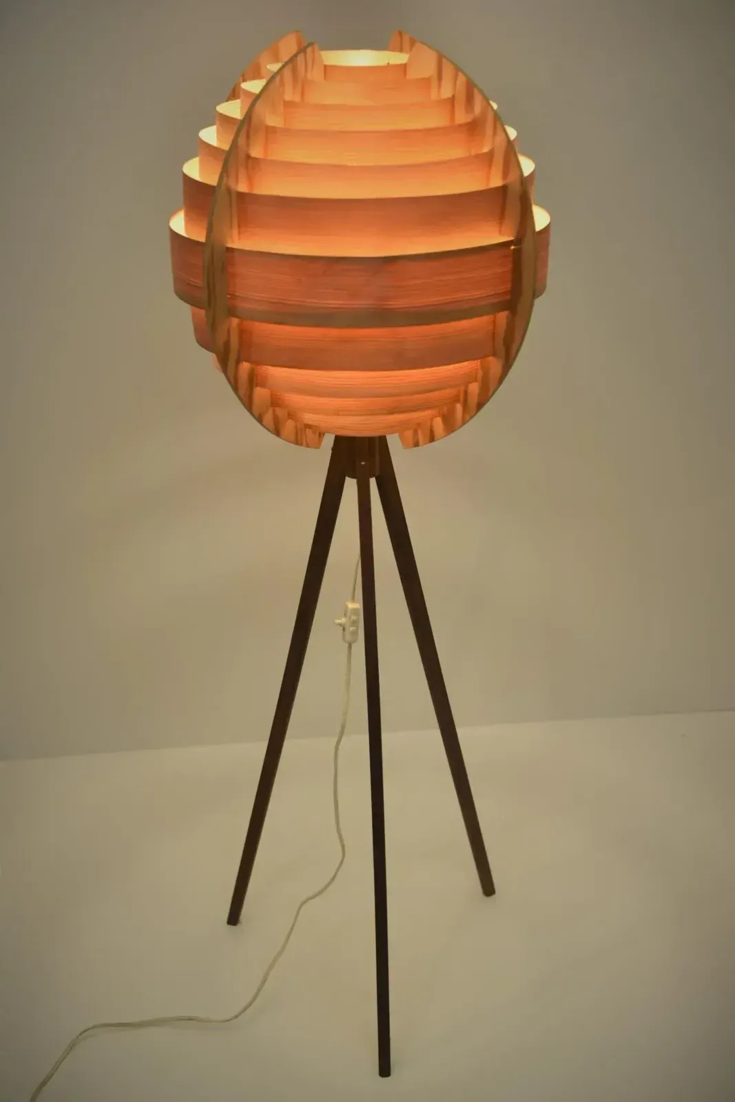 Lighting Swedish Pine And Mahogany Floor Lamp By Hans Agne Jakobsson, 1960s photo