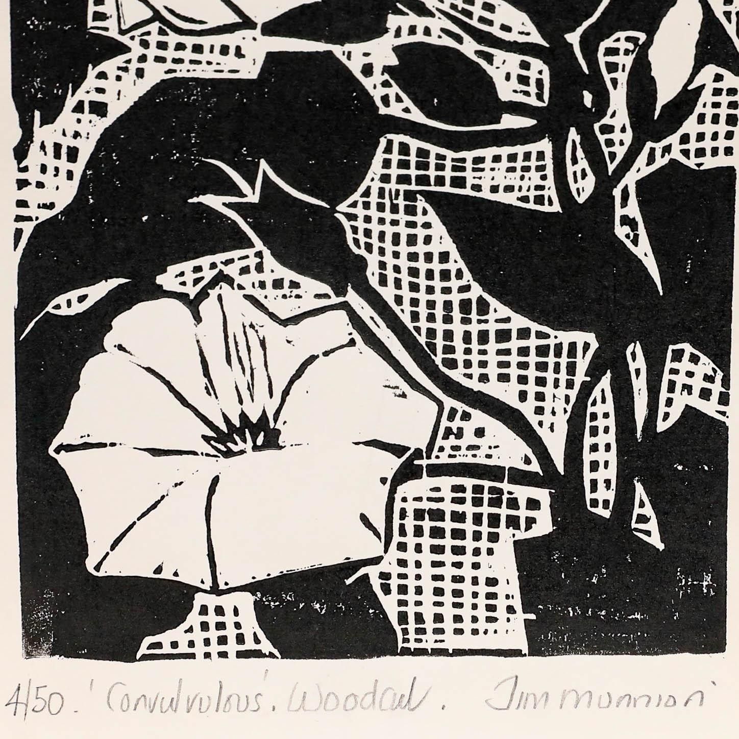Jim Munnion Contemporary Woodcut, Convolvulus photo Art