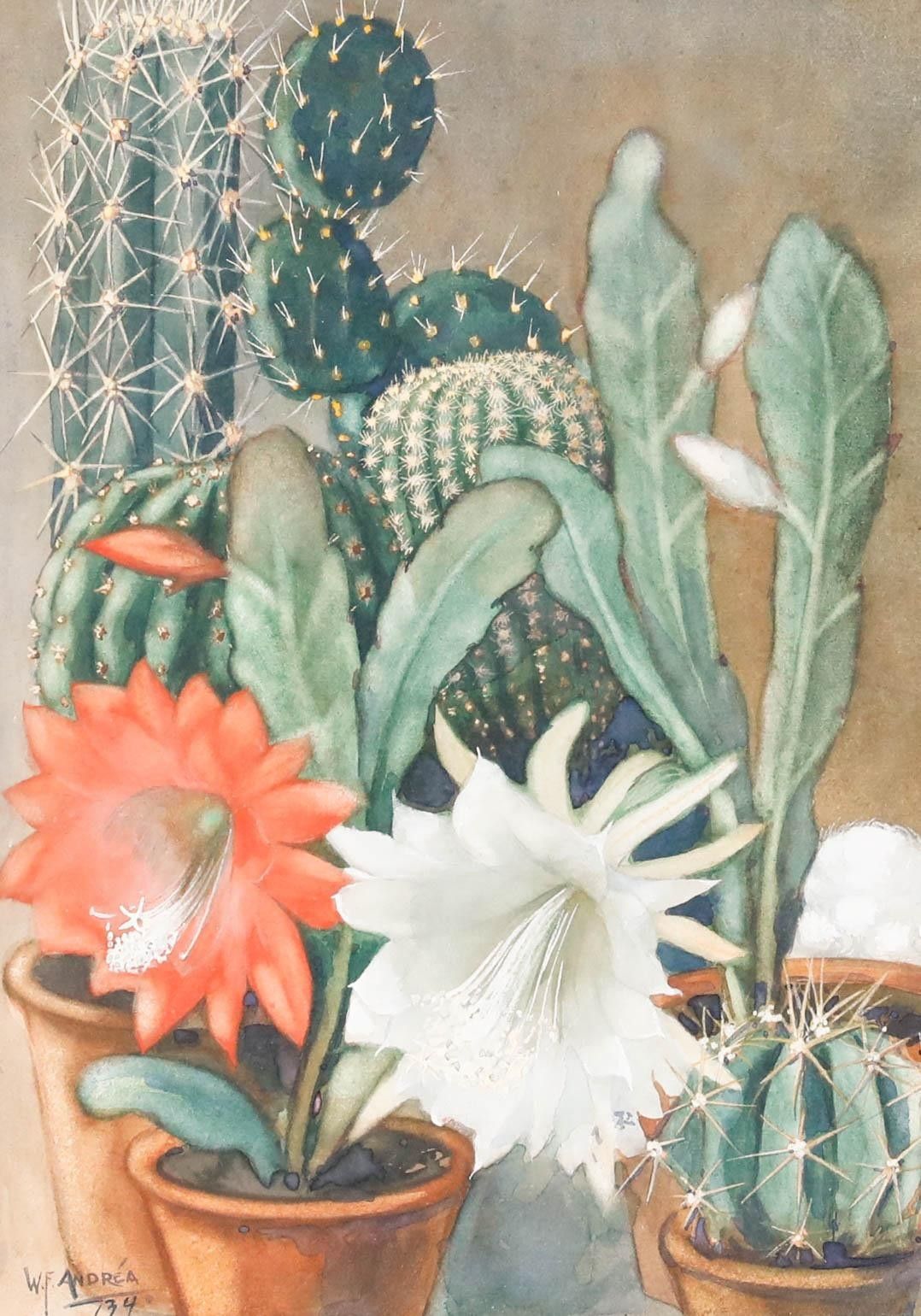 Willem Frederik Andrea (1875 1952) Framed Watercolour, Still Life With Cacti photo furniture