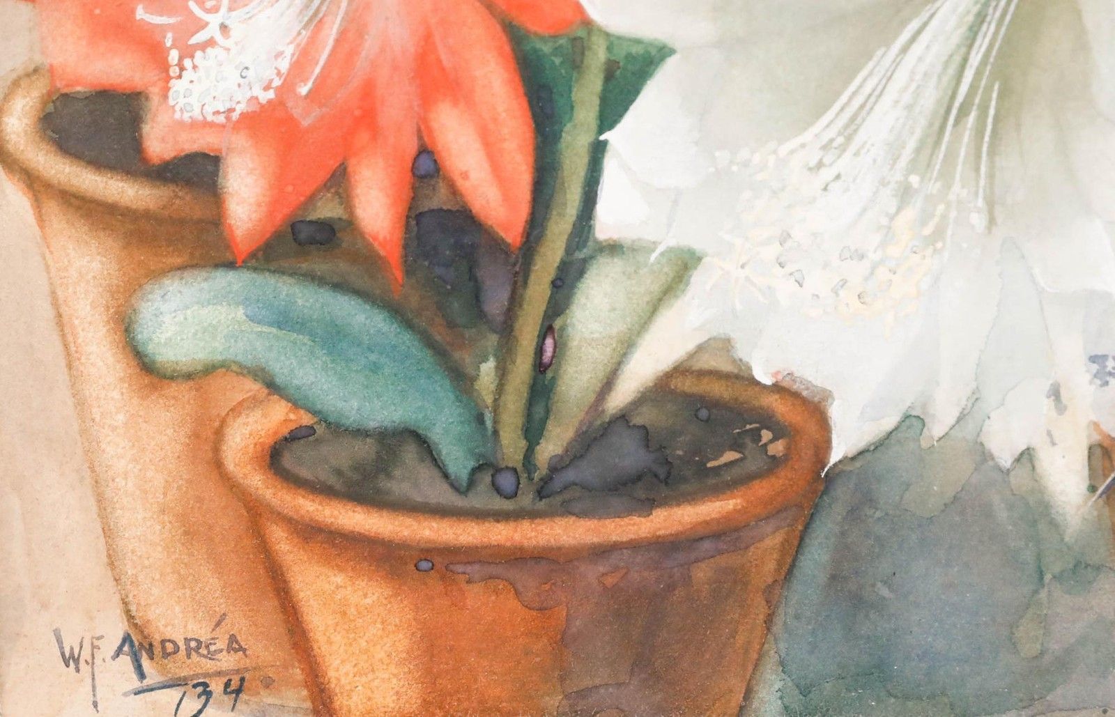 Willem Frederik Andrea (1875 1952) Framed Watercolour, Still Life With Cacti photo vinterior