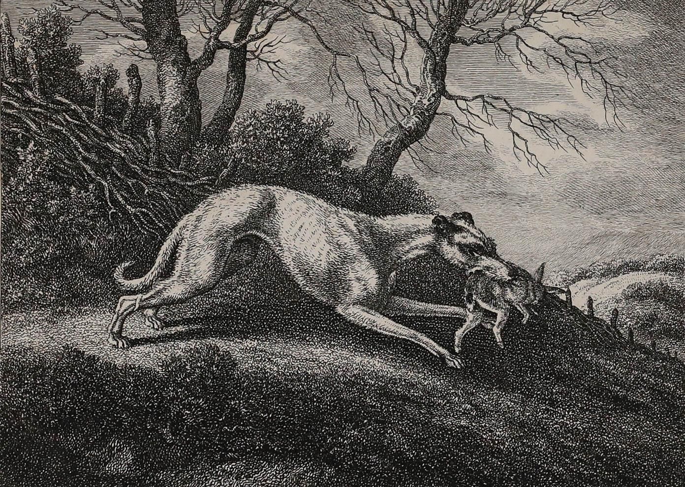 William Samuel Howitt (C.1765 1822) 19th Century Engraving, The Lurcher photo furniture