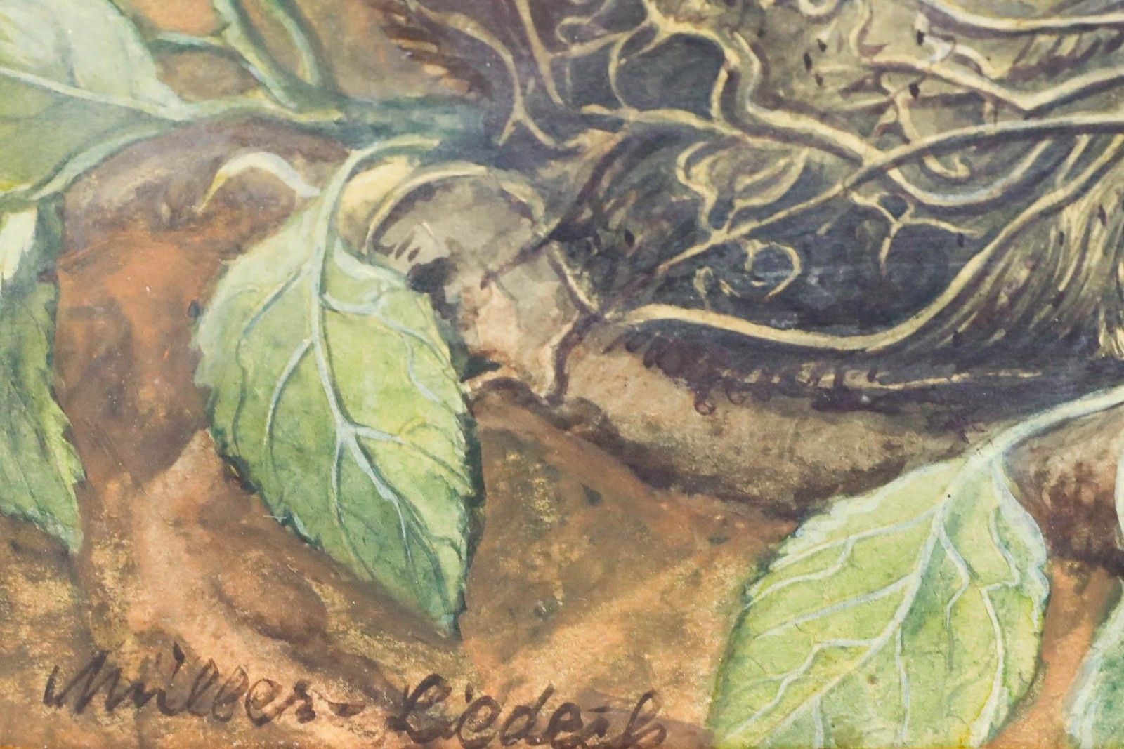 Karl Müller Liedeck  Early 20th Century Watercolour, Serin's Nest photo vinterior