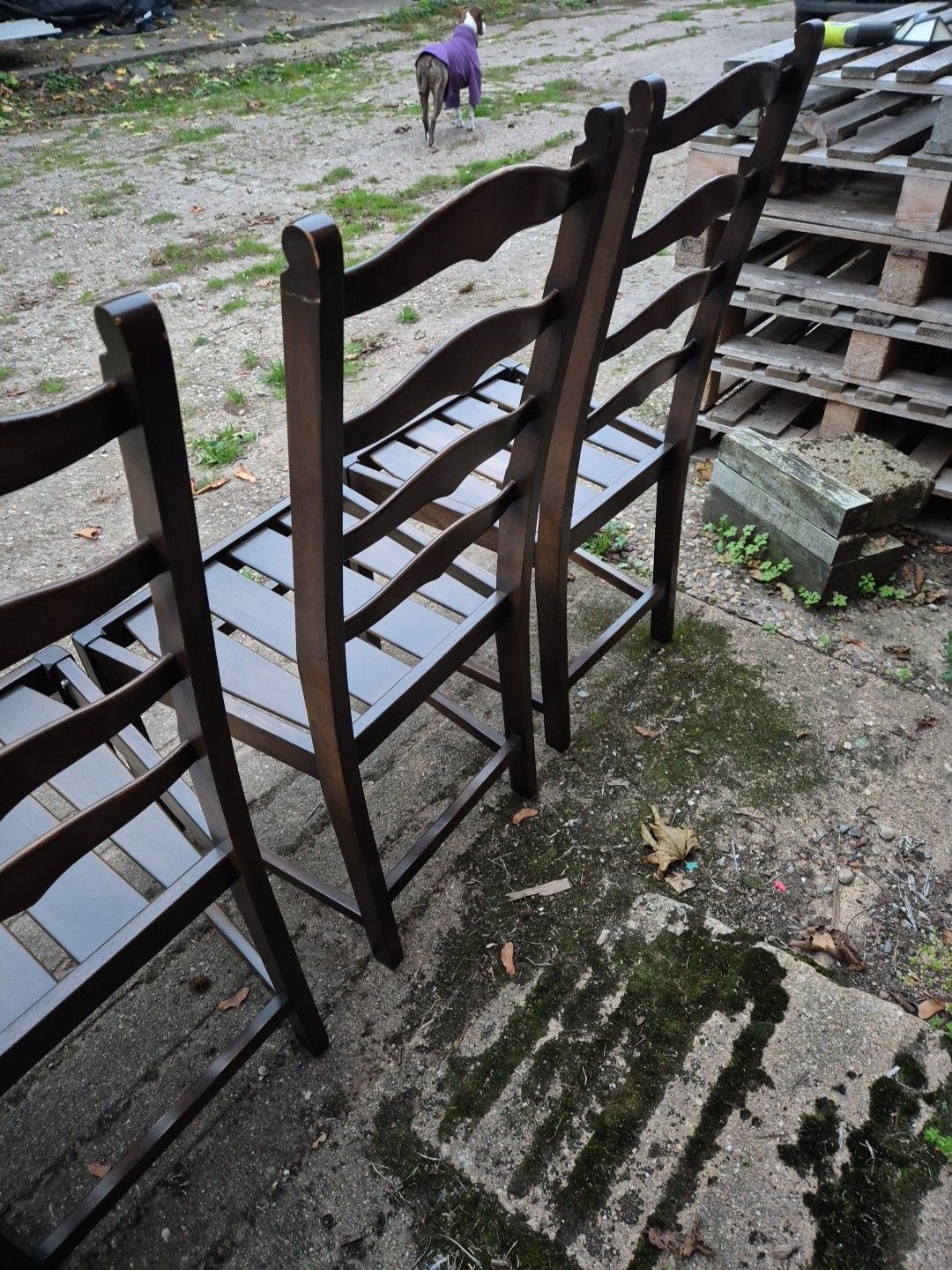 photo furniture Set Of 4 1970s Ercol 715 Ladderback Dining Chairs Dark Finish, No Cushions.
