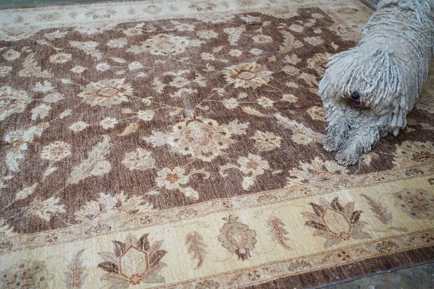 A Large Contemporary Gold Antique Wash Ziegler Carpet C.2010