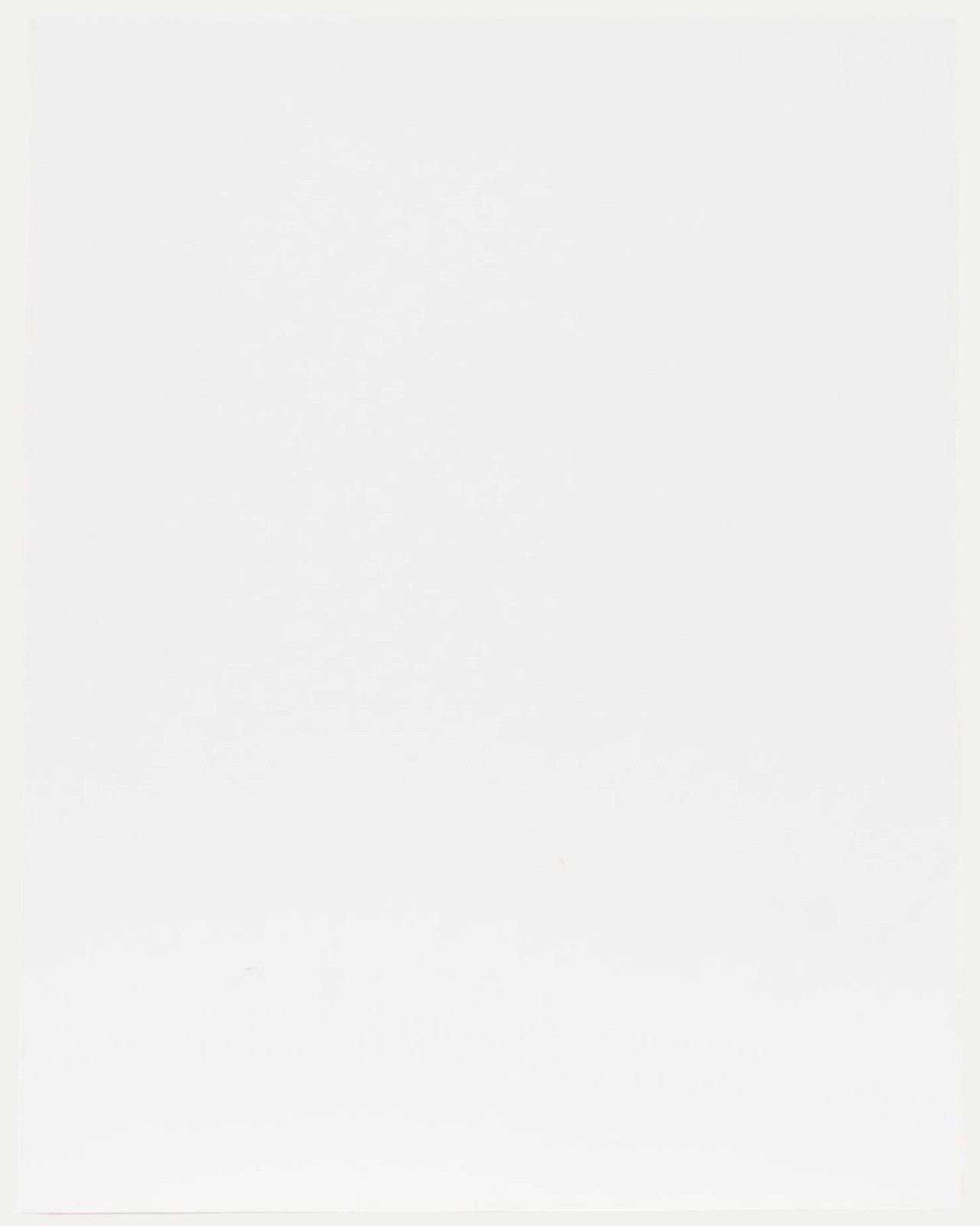 Ben Carrivick Contemporary Oil, A Stylish Lady photo for sale
