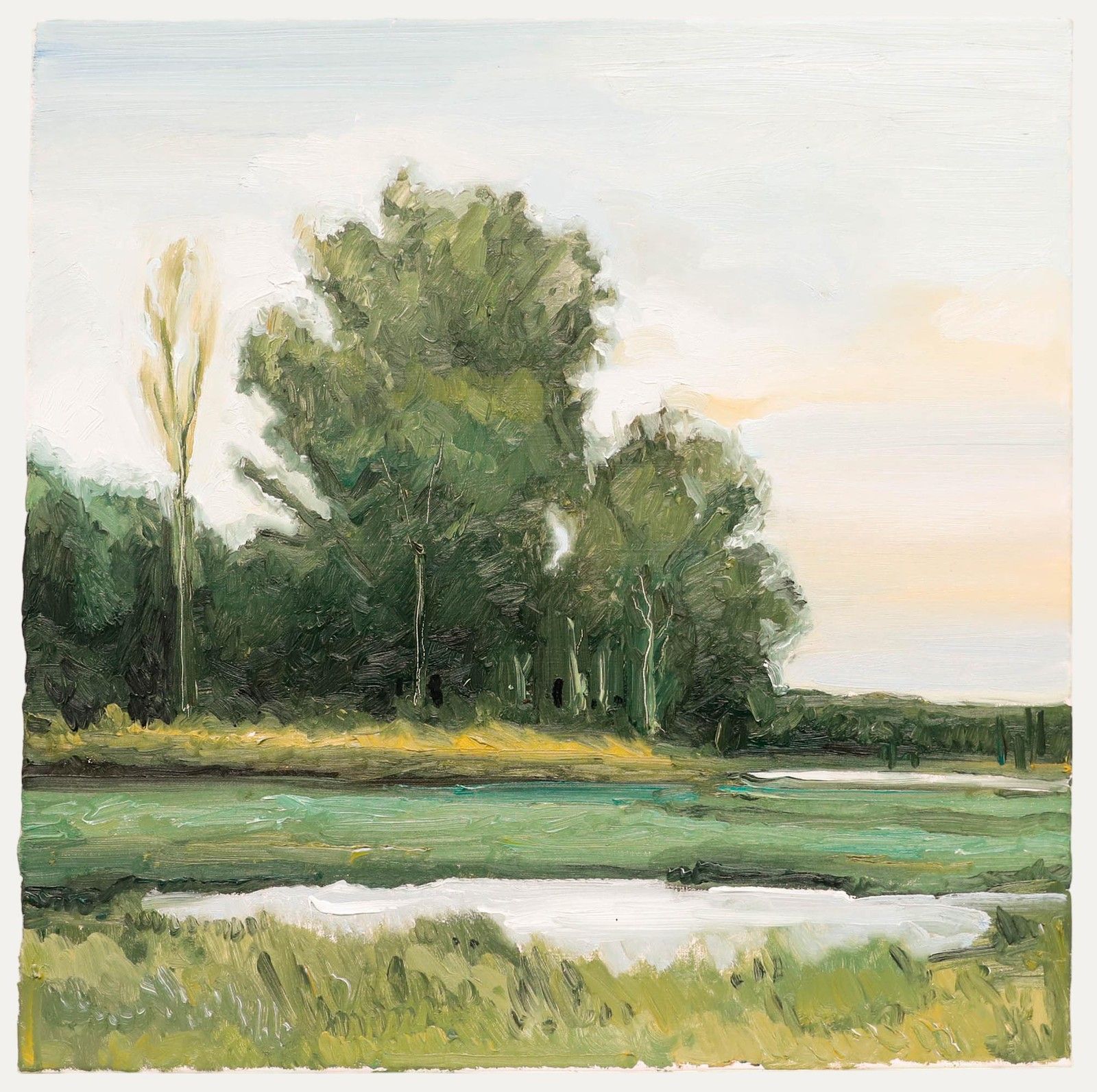 Nick Todhunter Contemporary Oil, In Evening Air