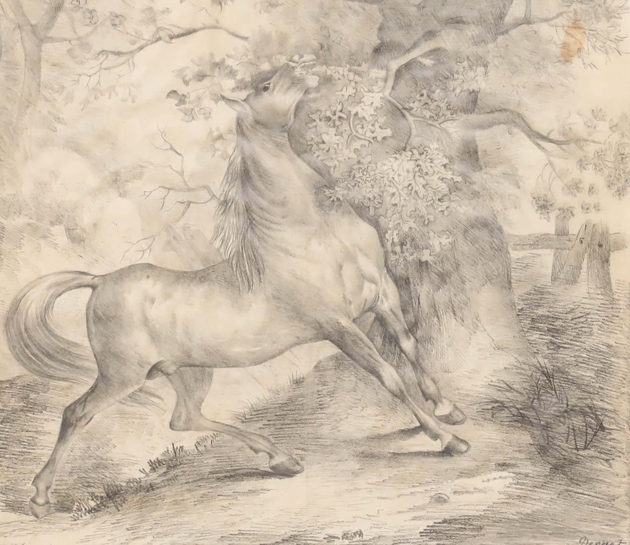 After Carle Vernet (1758 1836) 1833 Graphite Drawing, Wild Horse photo furniture