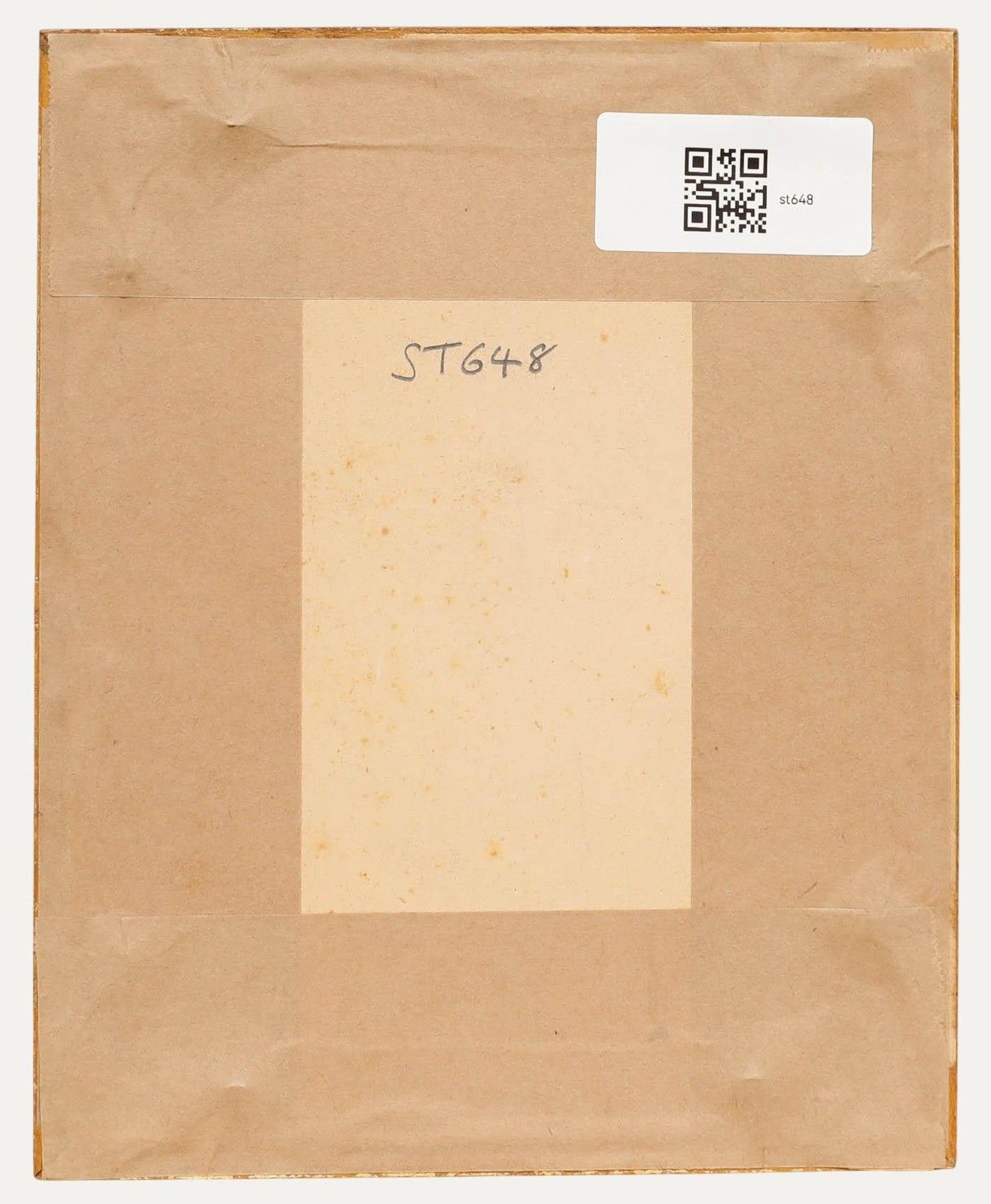 Sophia Katherine Charleton (1789 1844) Watercolour, Daphne Sericea photo for sale
