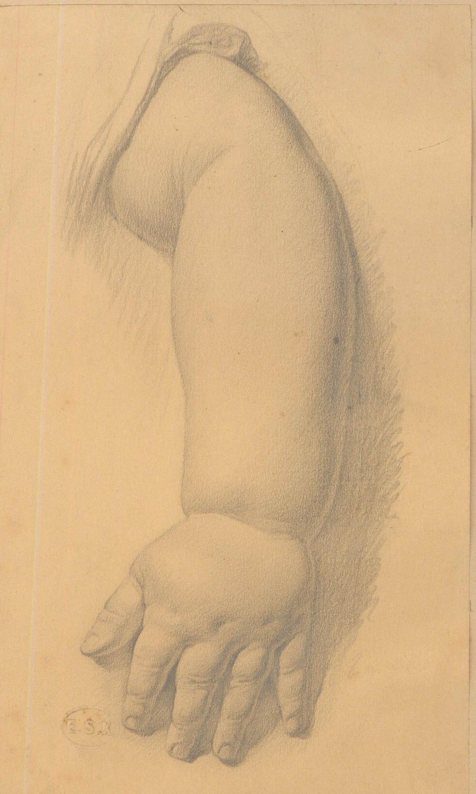 Edward Ridley (1883 1946) Graphite Drawing, Study Of An Infant's Arm photo furniture