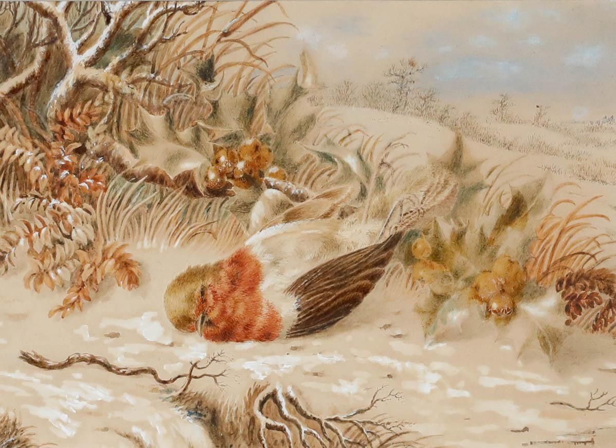 Emma Walter (1833 1893) Late 19th Century Watercolour, The Dead Robin photo furniture