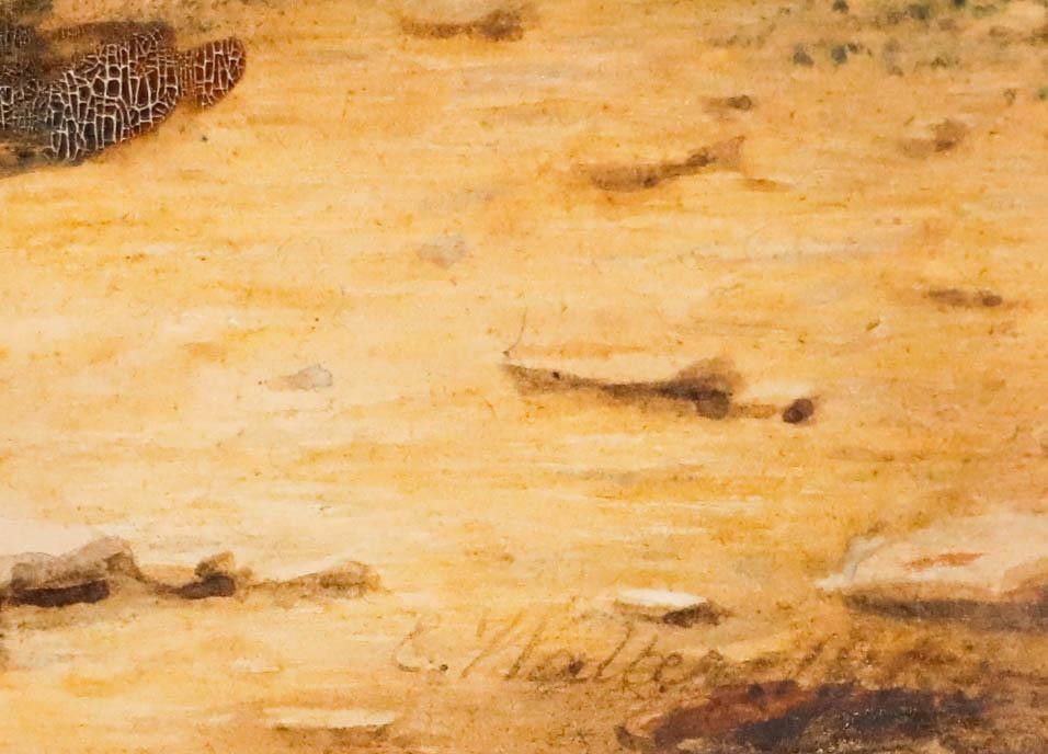 Emma Walter (1833 1893) Late 19th Century Watercolour, The Dead Sparrow photo vinterior