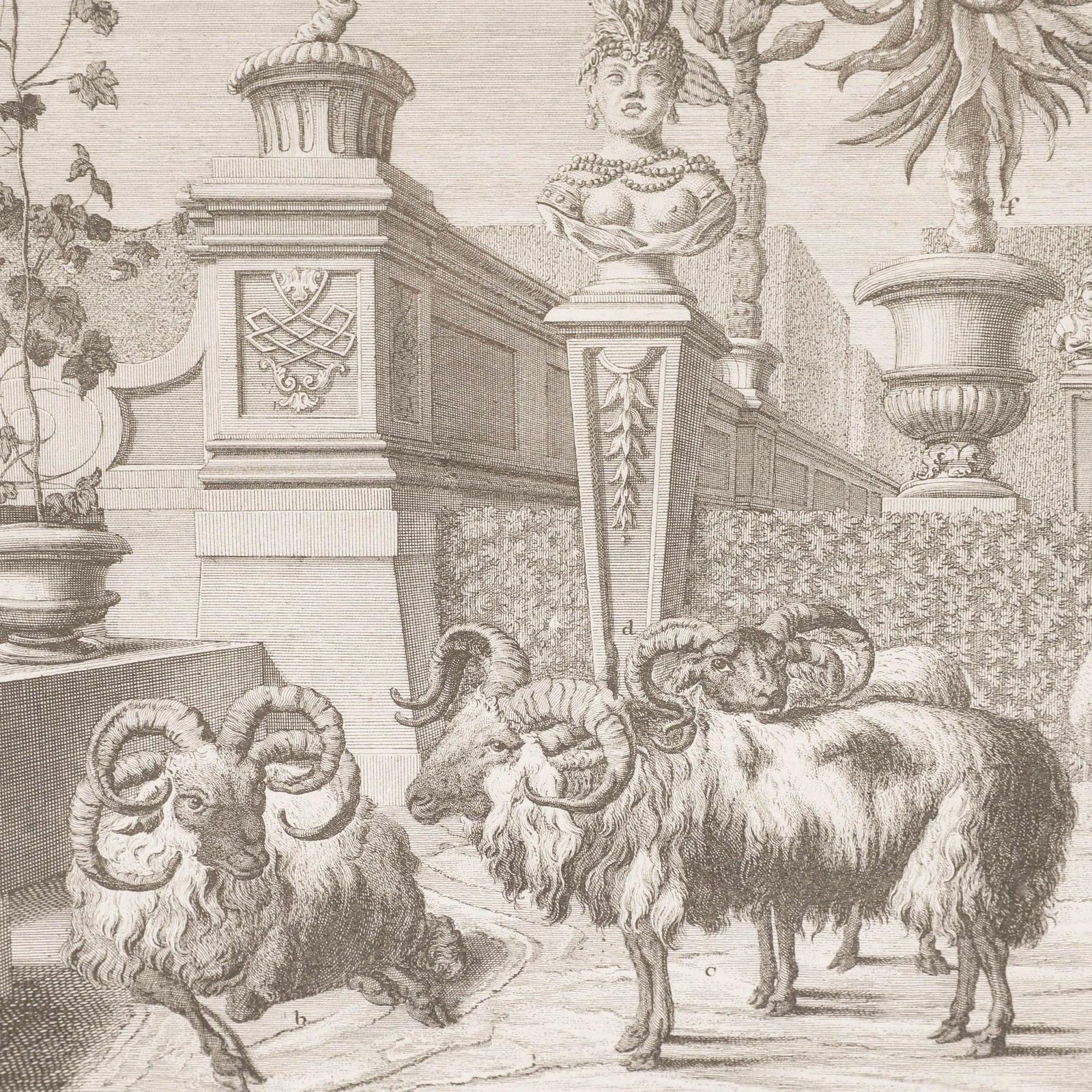 Salomon Kleiner (1700 1761) 18th Century Engraving, Prince Eugene's Sheep photo Art
