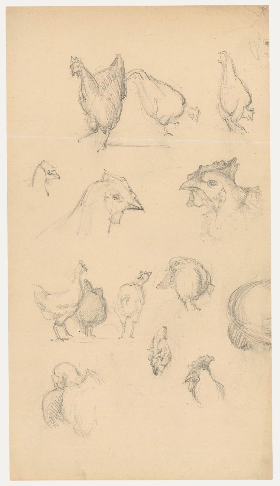 Attrib. John Cluysenaar (1899 1986) Graphite Drawing, Study Of Hens