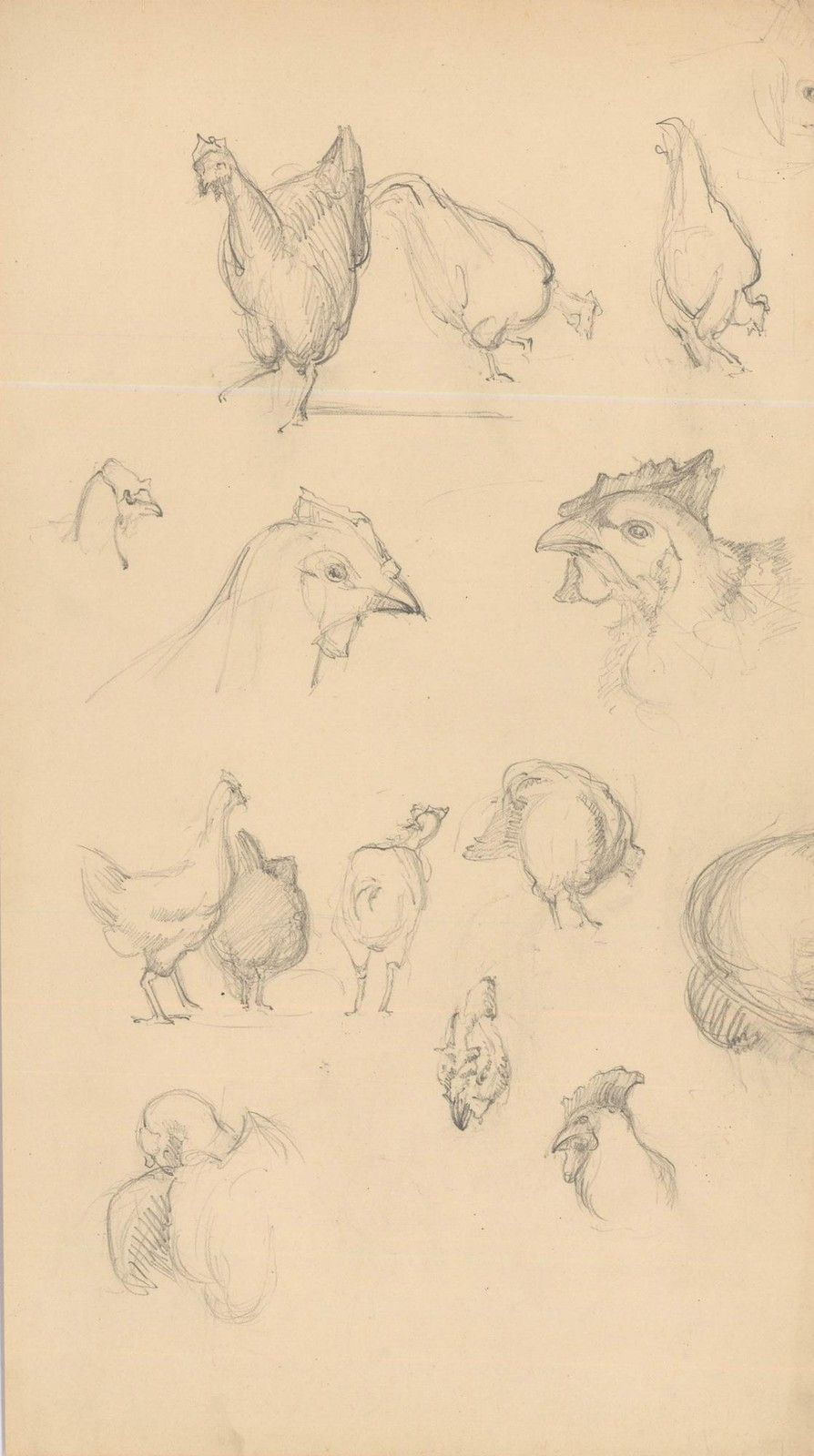 Attrib. John Cluysenaar (1899 1986) Graphite Drawing, Study Of Hens photo furniture