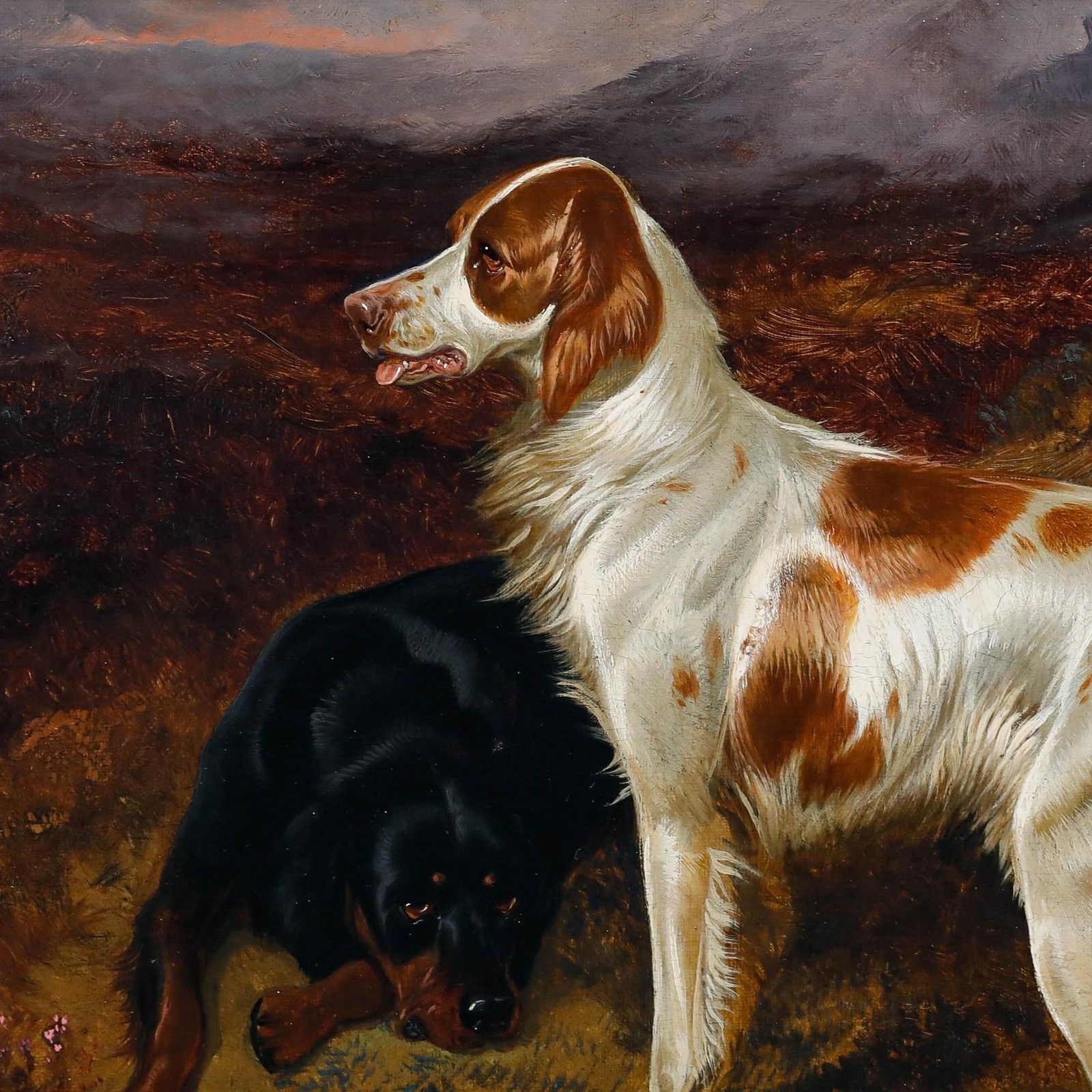 Colin Graeme (1858 1910) Framed Oil, Setters In A Moorland Landscape photo Art