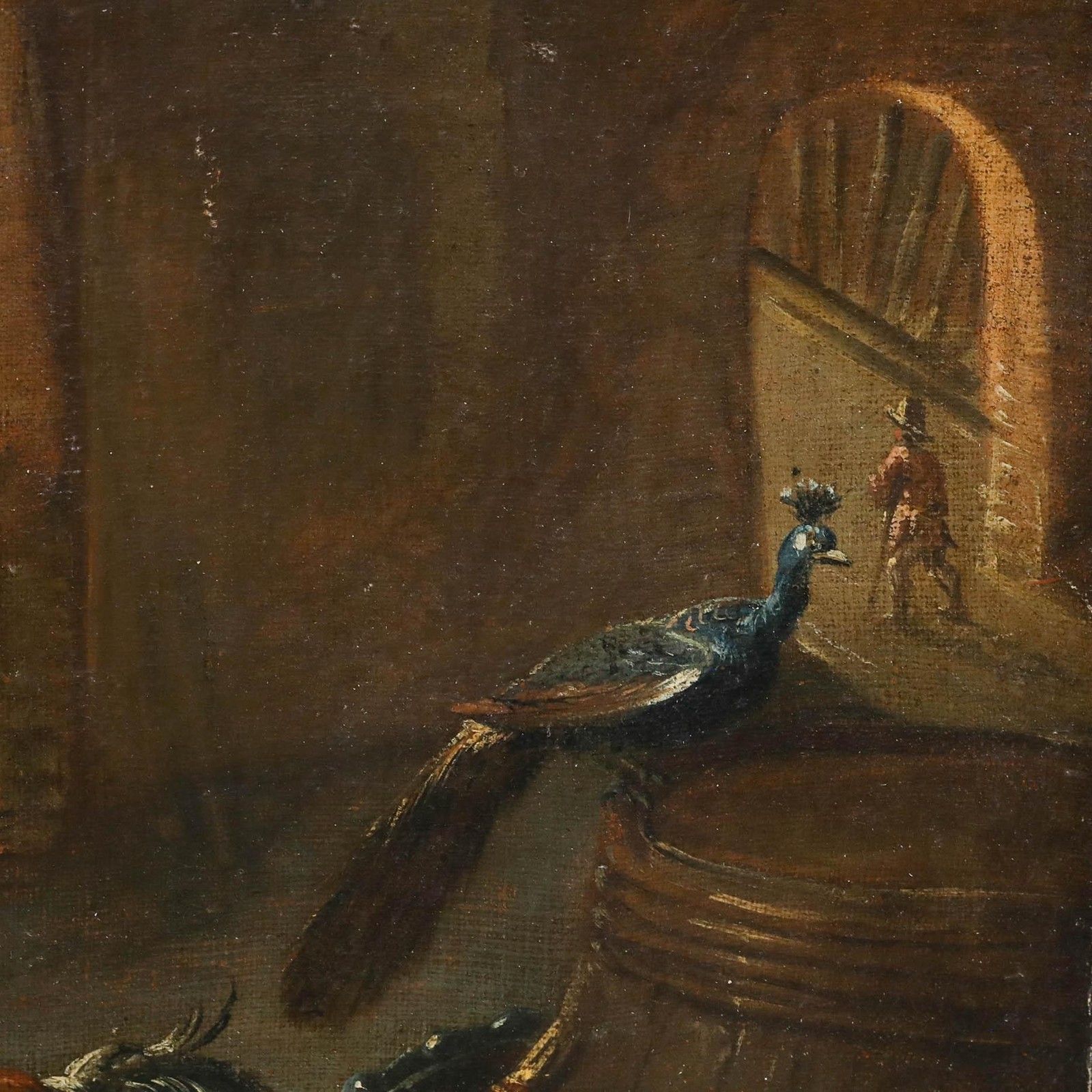 Continental School Early 19th Century Oil Birds Of Court photo 325.0