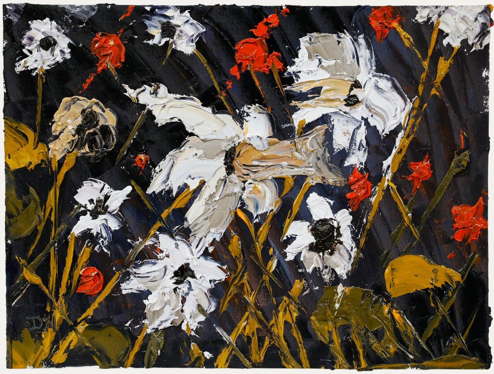 Daniel Nichols Contemporary Oil, White Daisies