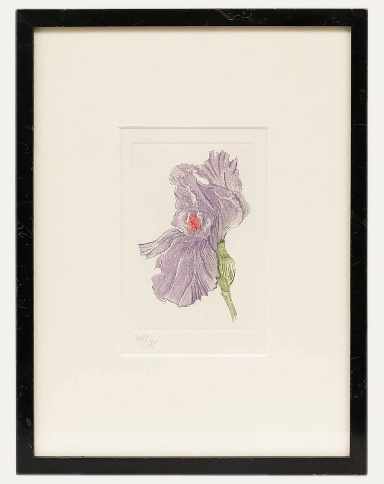 Framed Contemporary Etching Purple Iris