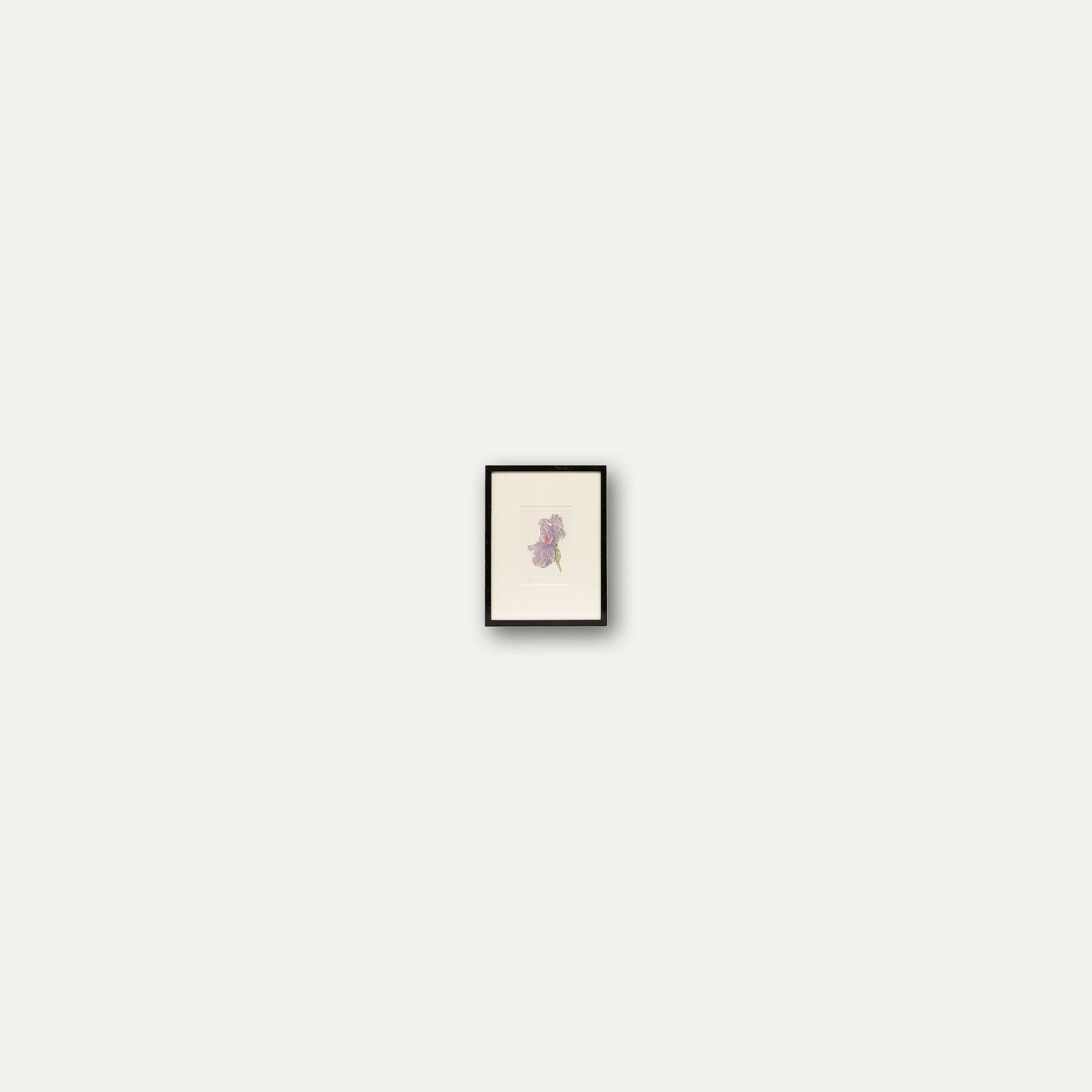 Framed Contemporary Etching Purple Iris photo vinterior