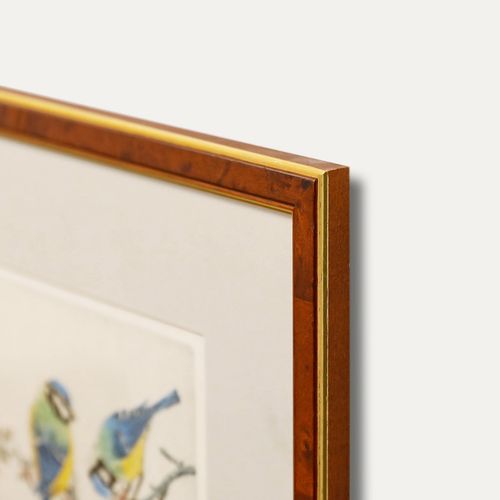 Walter Lishman (1900 1986) Framed Mid 20th Century Etching, Blue Tits photo vinterior