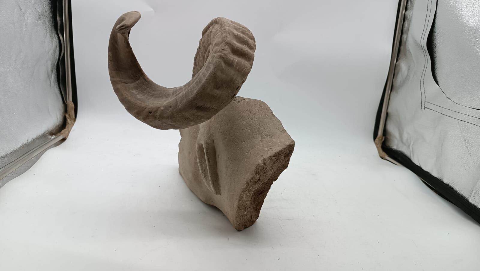 Sculpture In Stone Serena Carved Depicting Ram's Head photo for sale