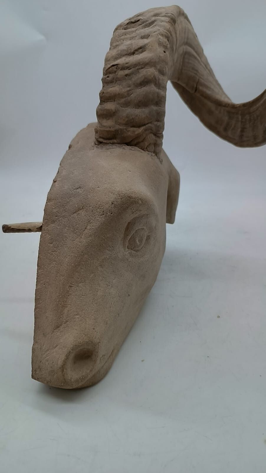 photo for sale Sculpture In Stone Serena Carved Depicting Ram's Head