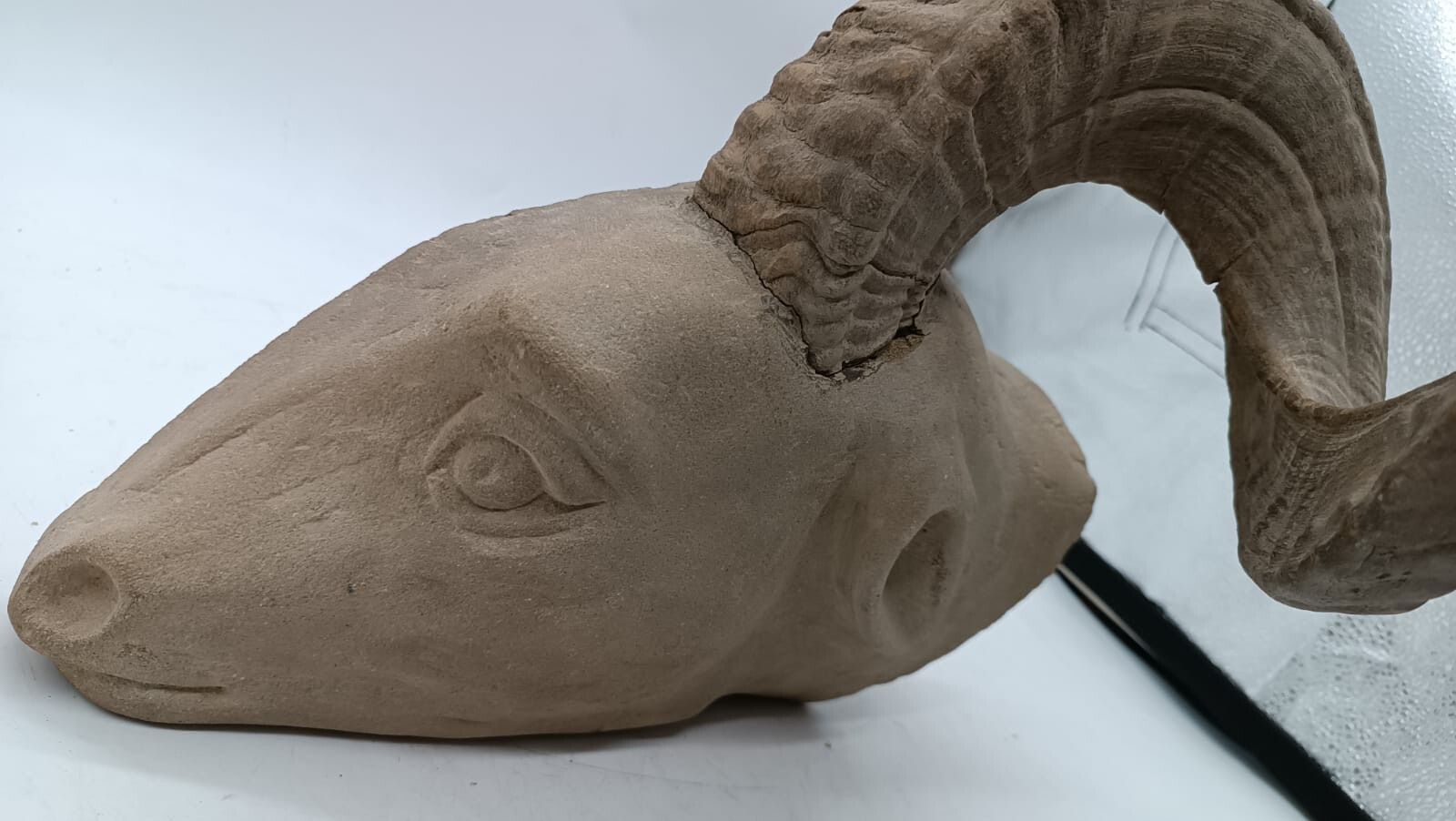 photo vintage Sculpture In Stone Serena Carved Depicting Ram's Head