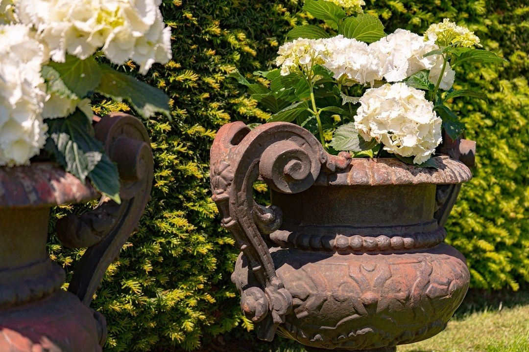 A Pair Of Antique Cast Iron French Garden Urns photo buy