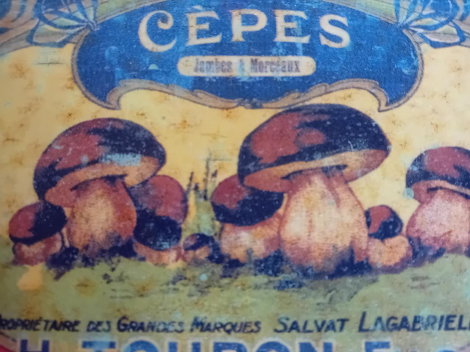 Metalen Reclamebord Cepes Paddenstoelen H.Touron, Perigord, Frankrijk photo Kunst