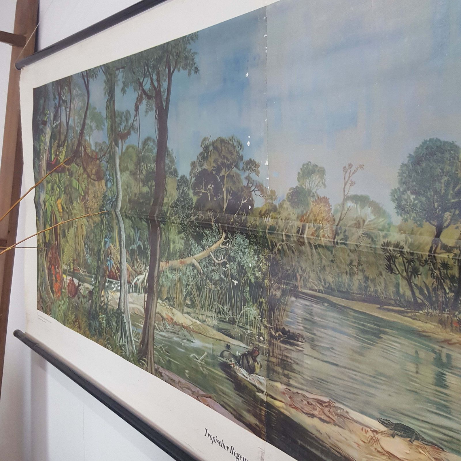 Large Vintage Classroom Wall Hanging Of The Tropical Rainforest Congo