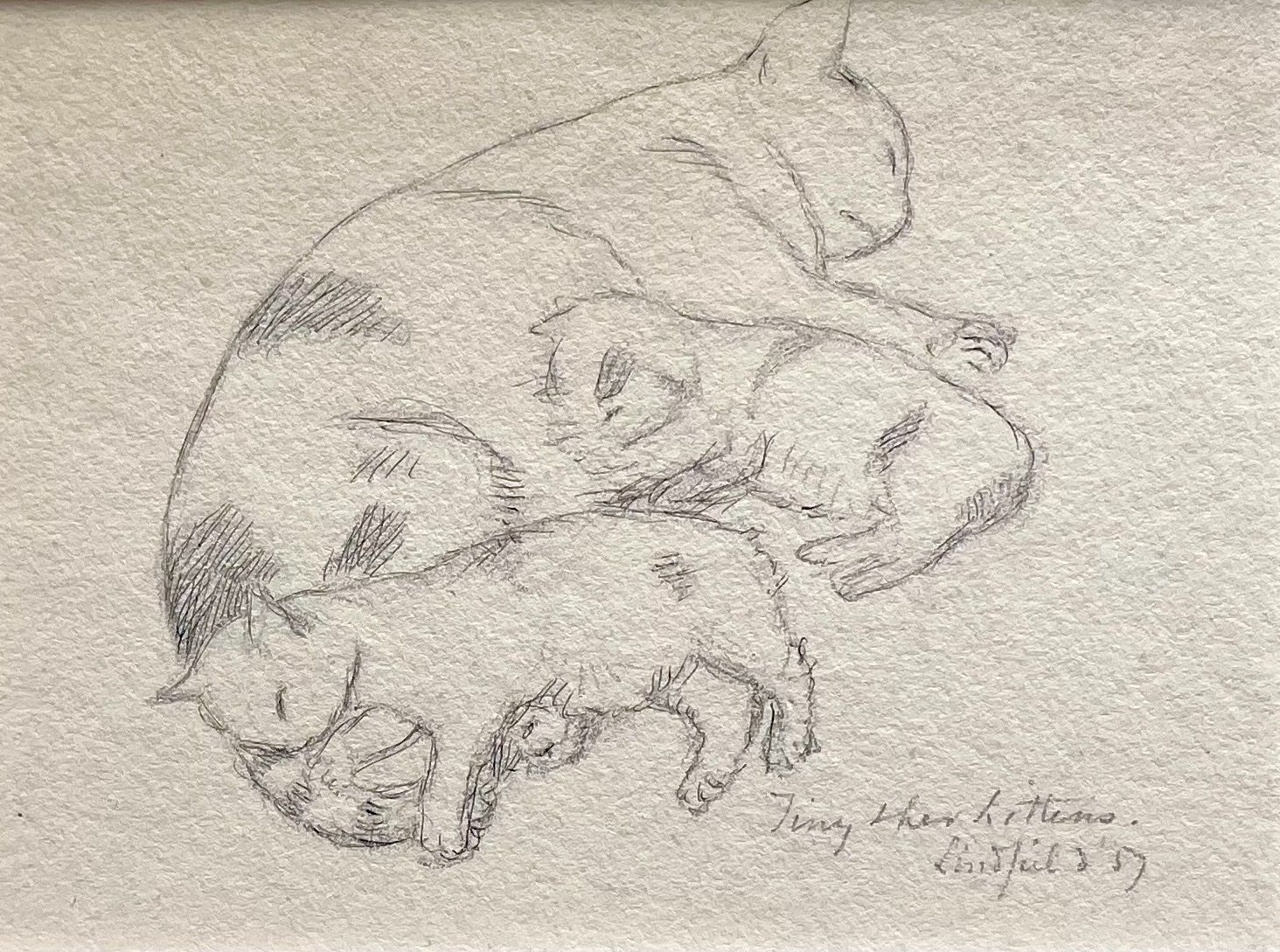 George Price Boyce   Tiny And Her Kittens   Mid 19th Century British Pre Raphaelite Drawing Of Cats