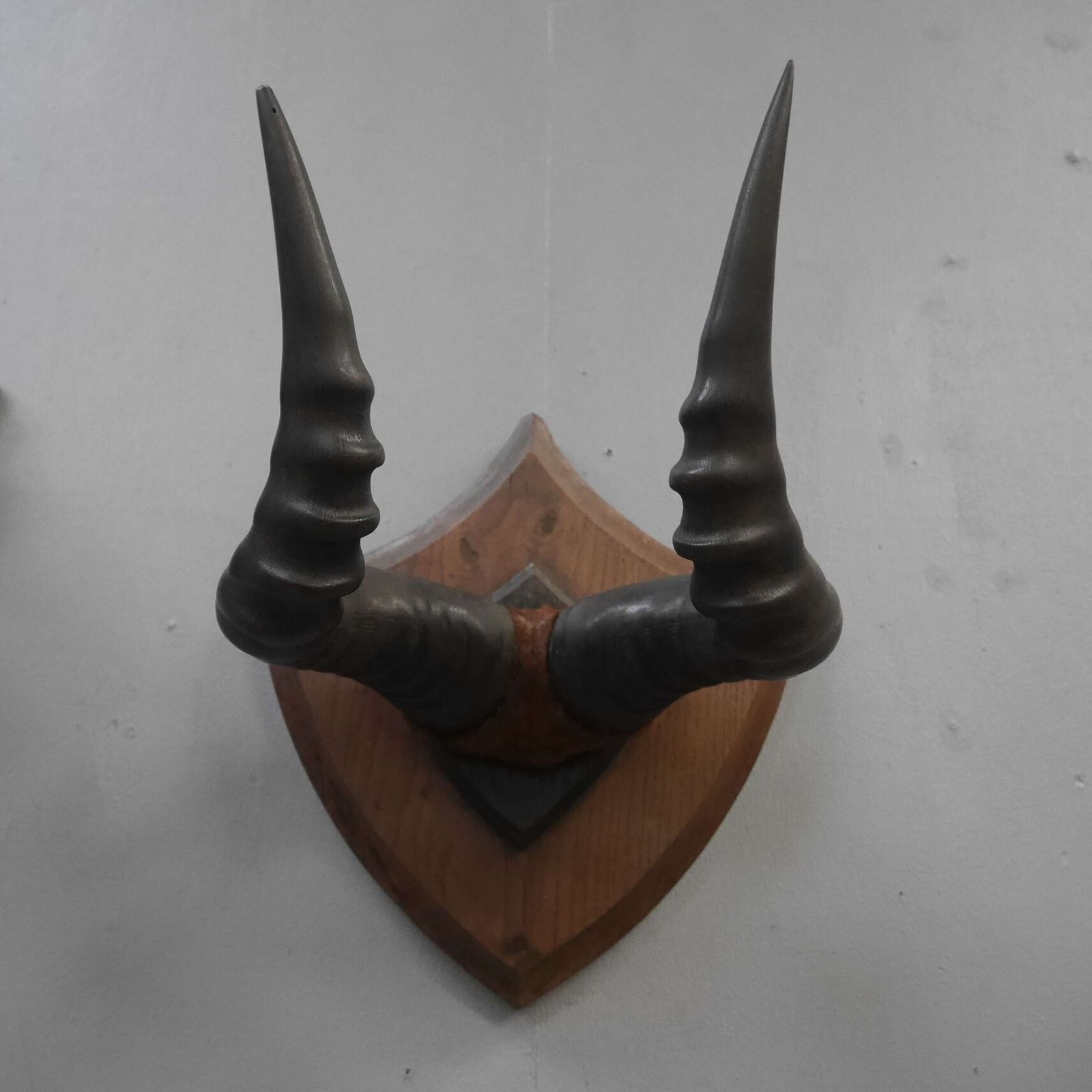 Pair Of Taxidermy Western Hartebeest Horns photo Home Decor
